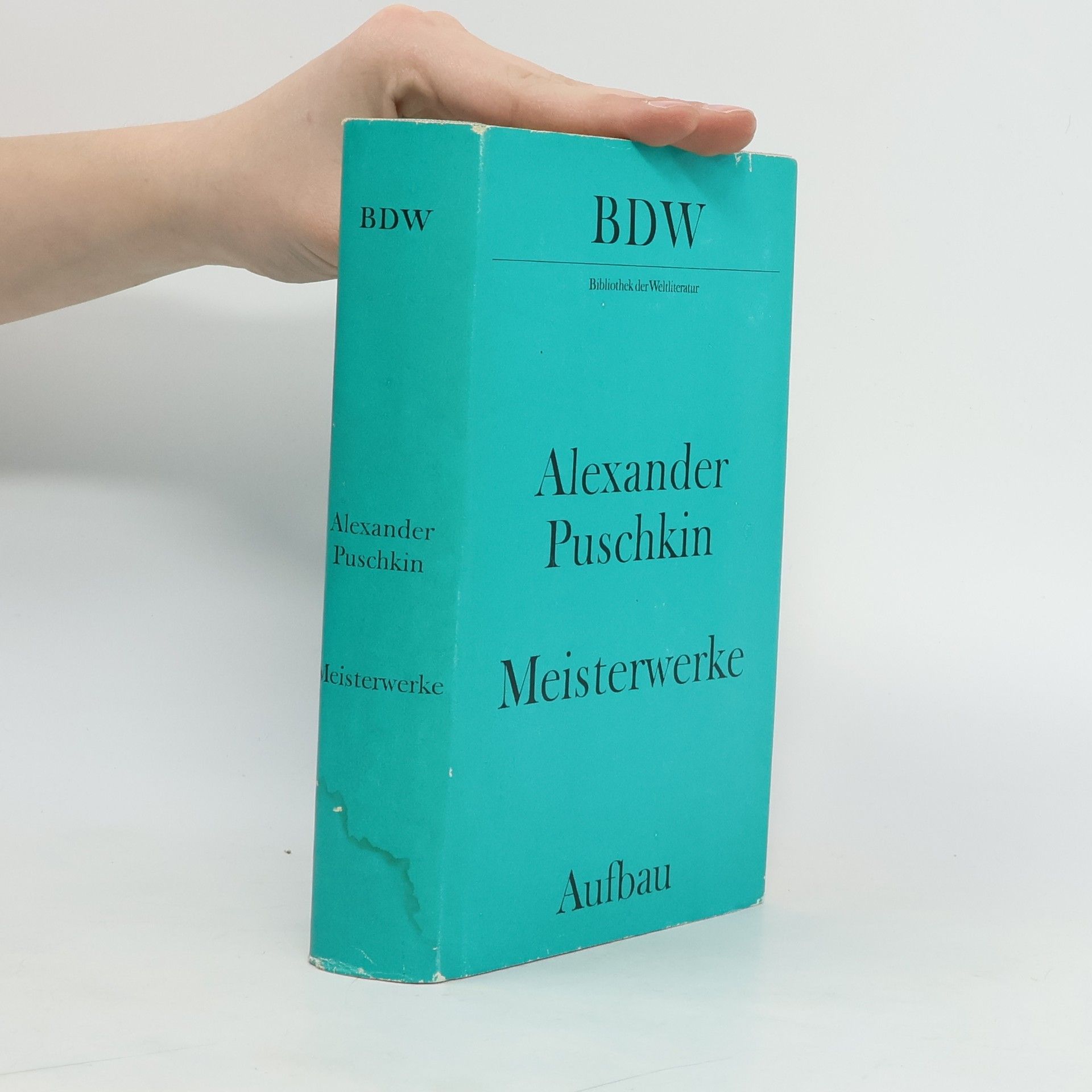 Aleksandr Sergejevič Puškin Meisterwerke