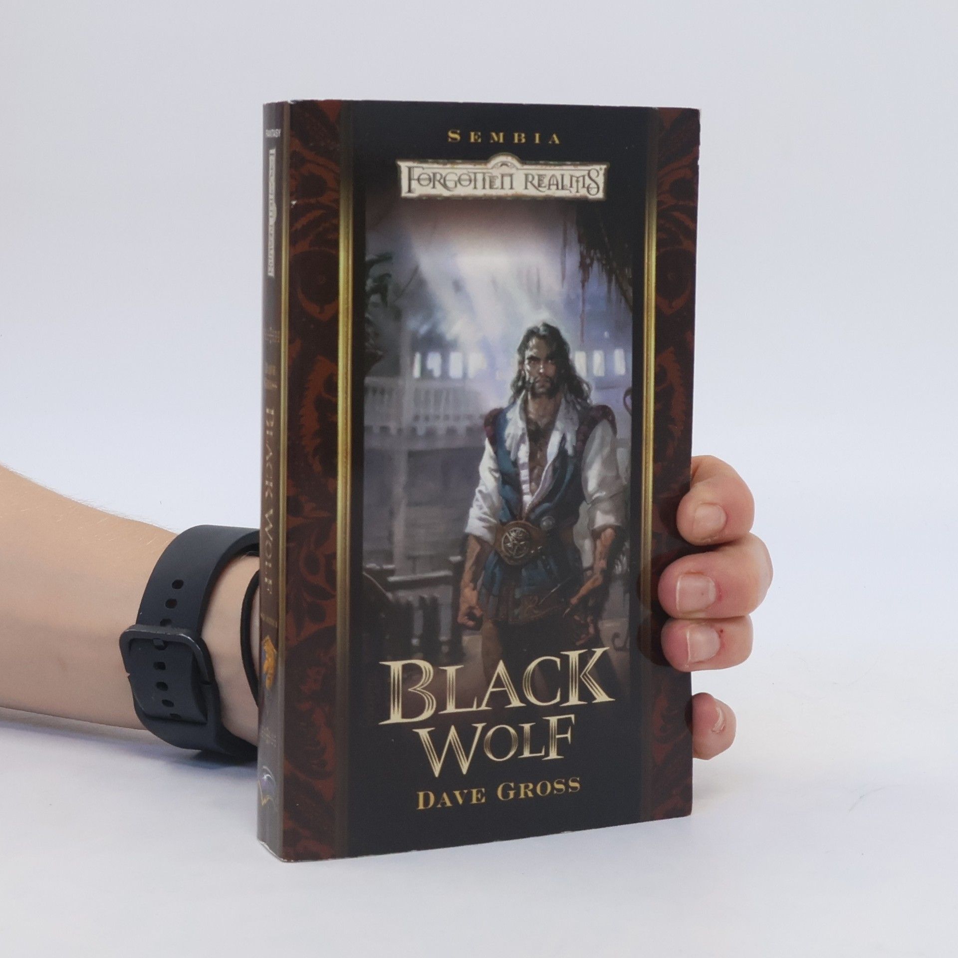 Dave Gross Black Wolf