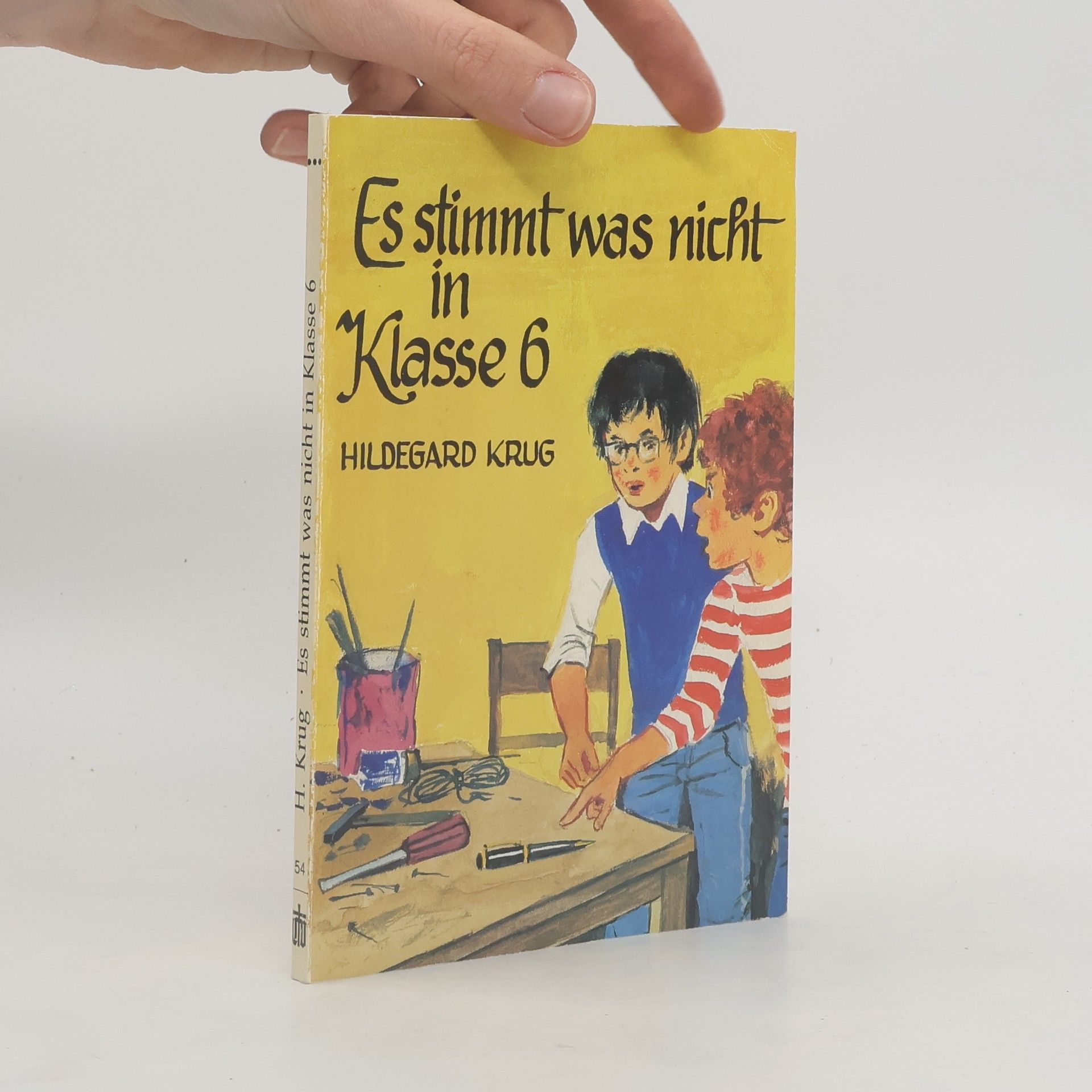 Hildegard Krug-Riehl Es stimmt was nicht in Klasse 6