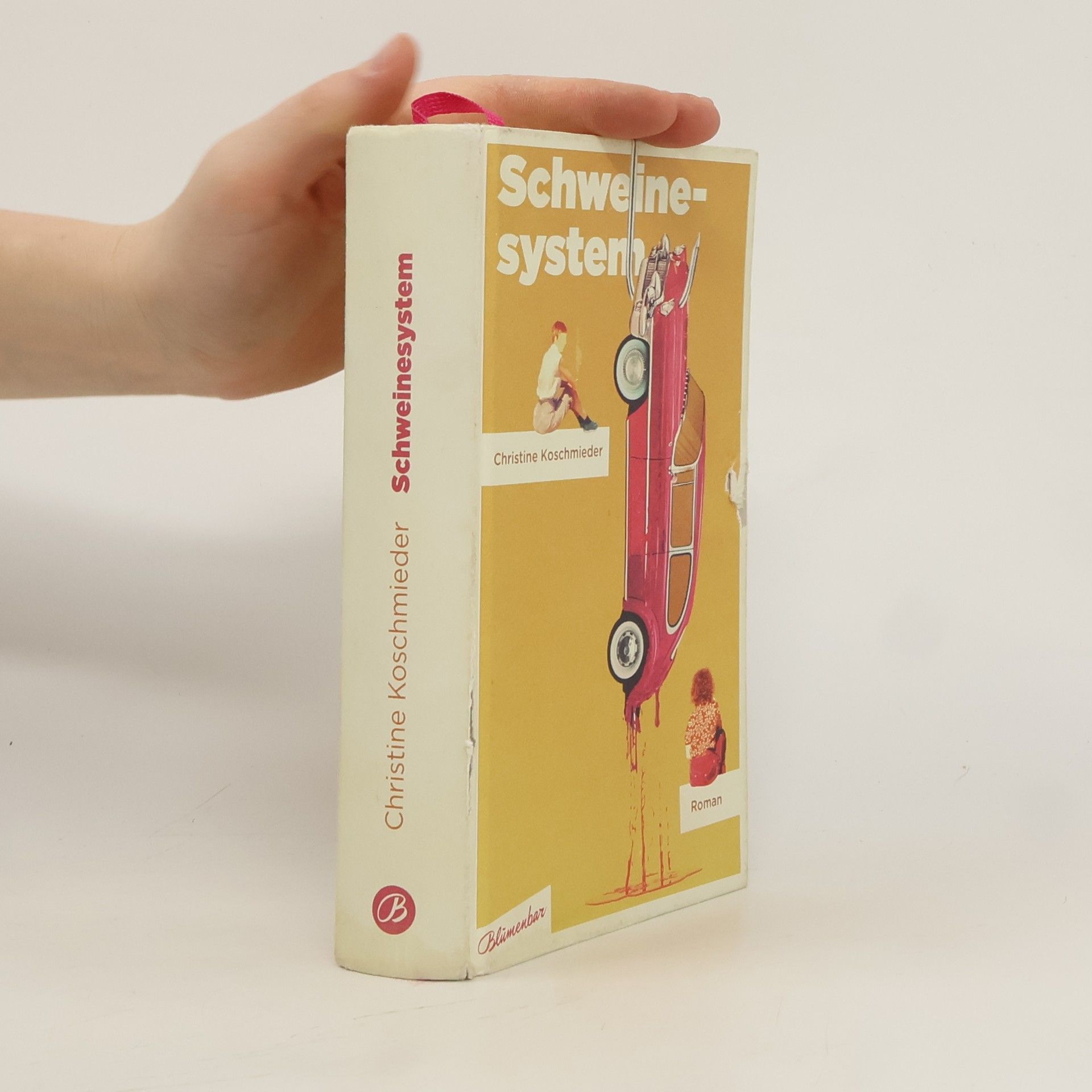 Christine Koschmieder Schweinesystem