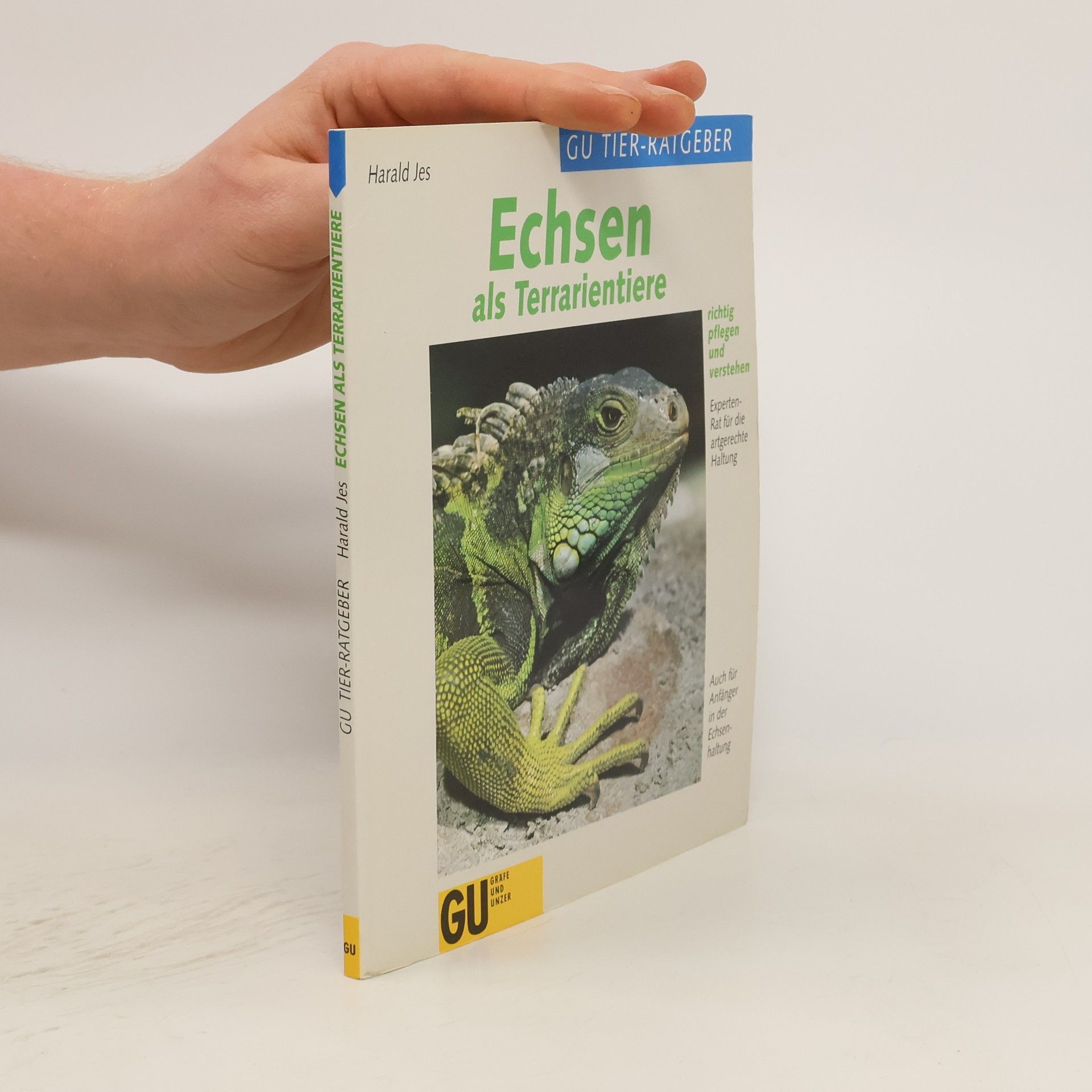 Herald Jes Echsen als Terrarientiere