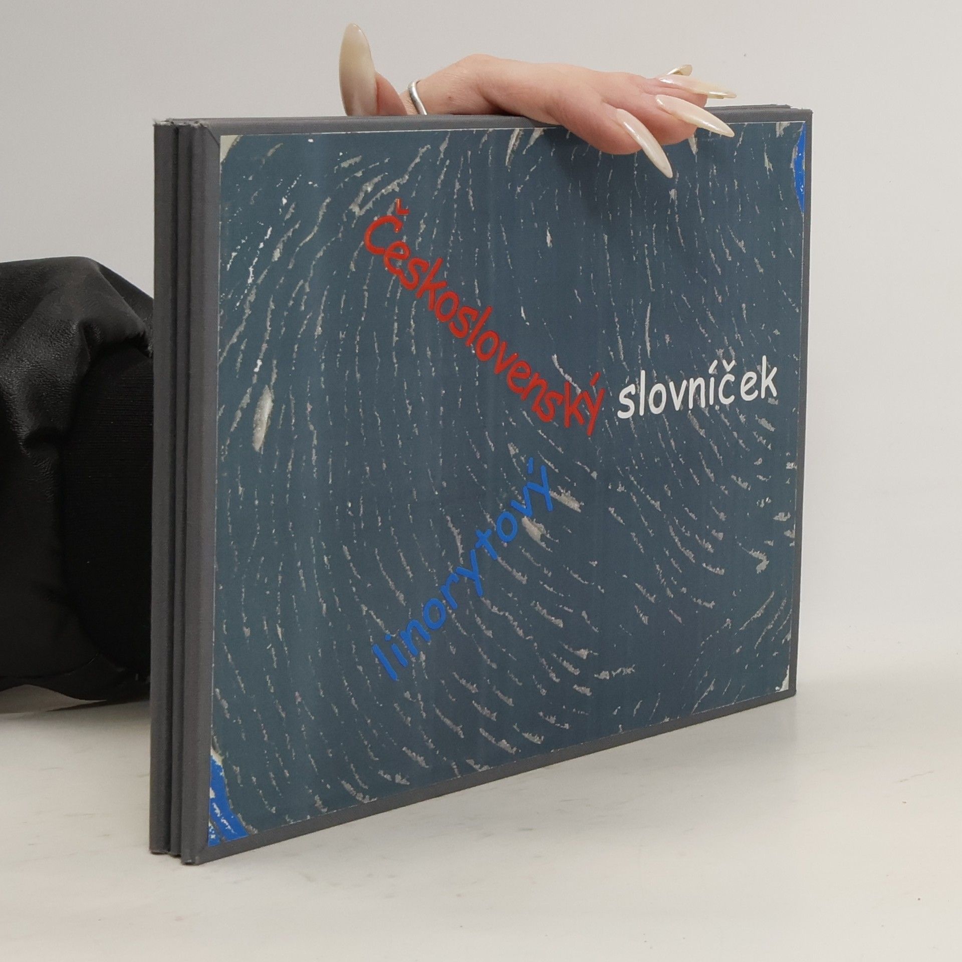 Kolektív autorov Československý linorytový slovníček