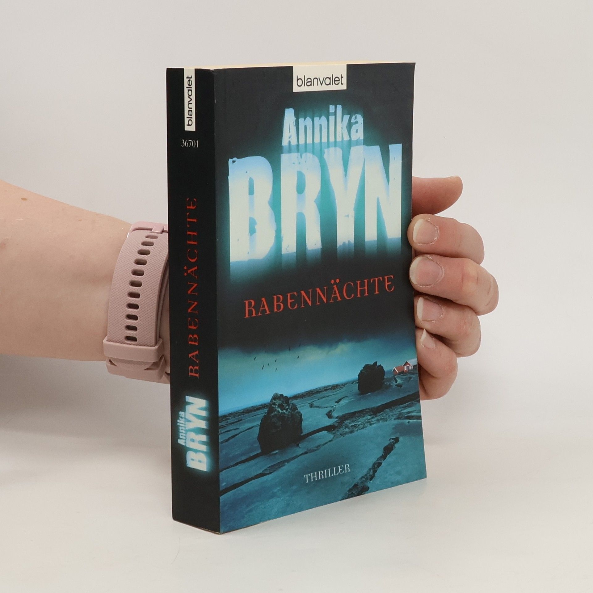 Annika Bryn Rabennächte