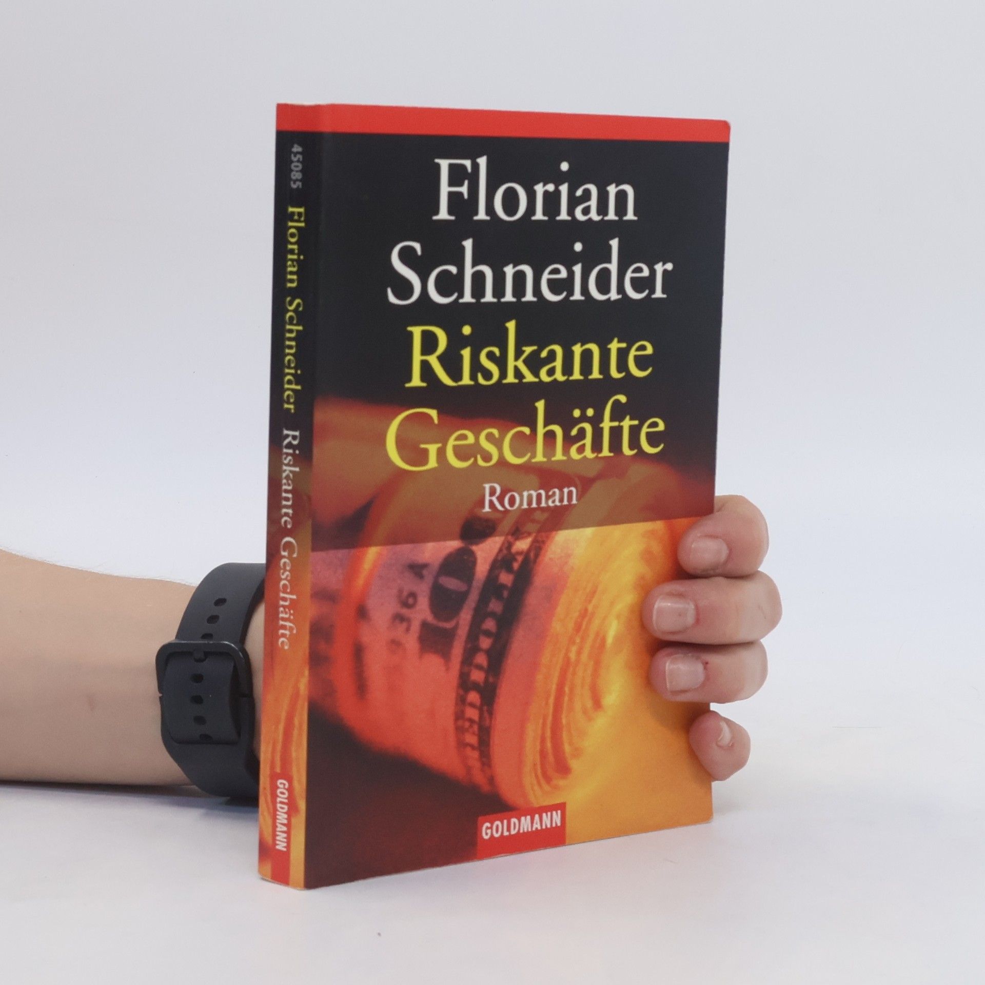 Florian Schneider Riskante Geschäfte