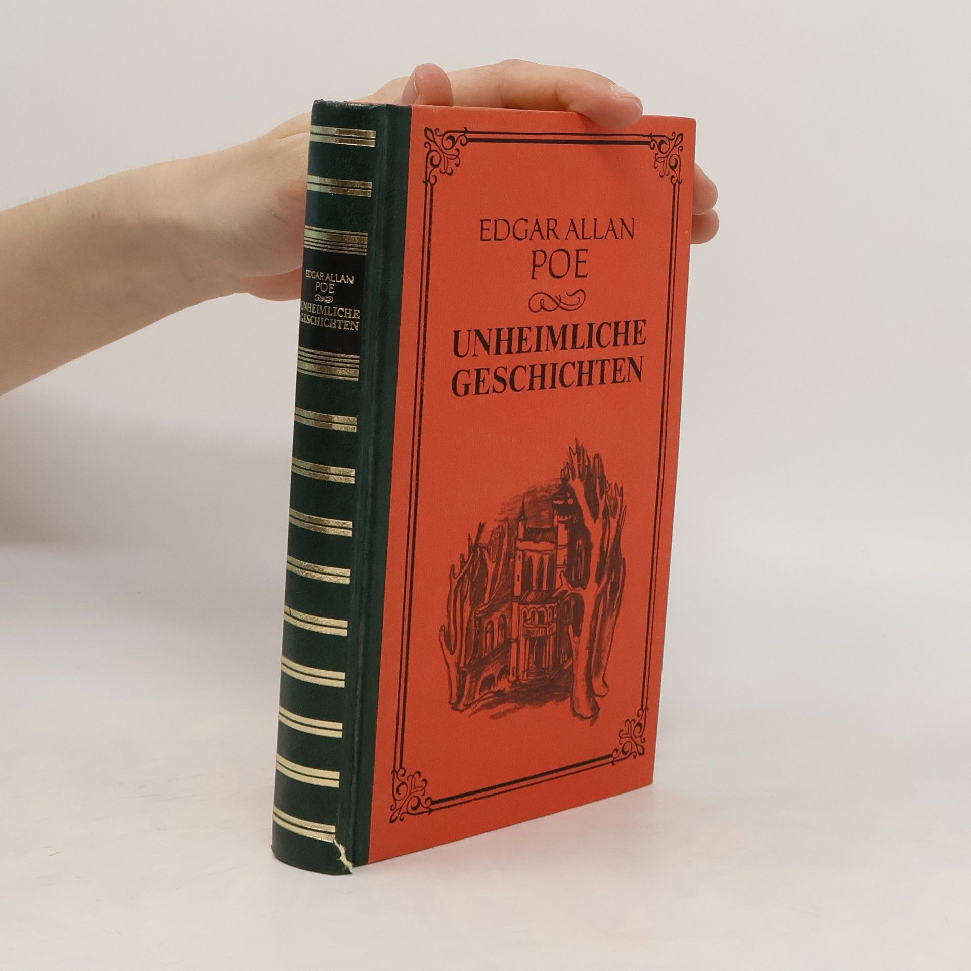 Edgar Allan Poe Unheimliche Geschichten