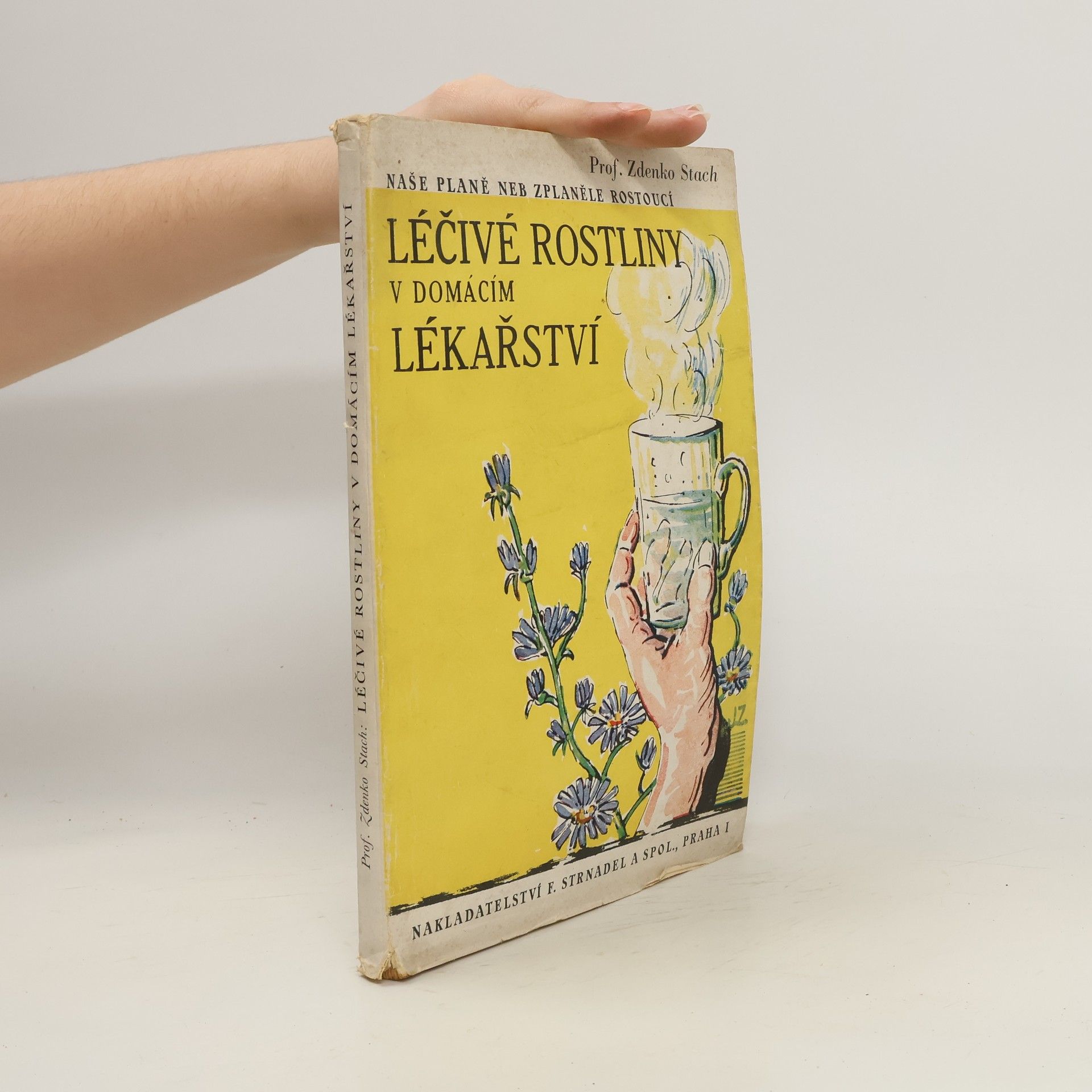 Zdenko Stacho Léčivé rostliny v domácím lékařství