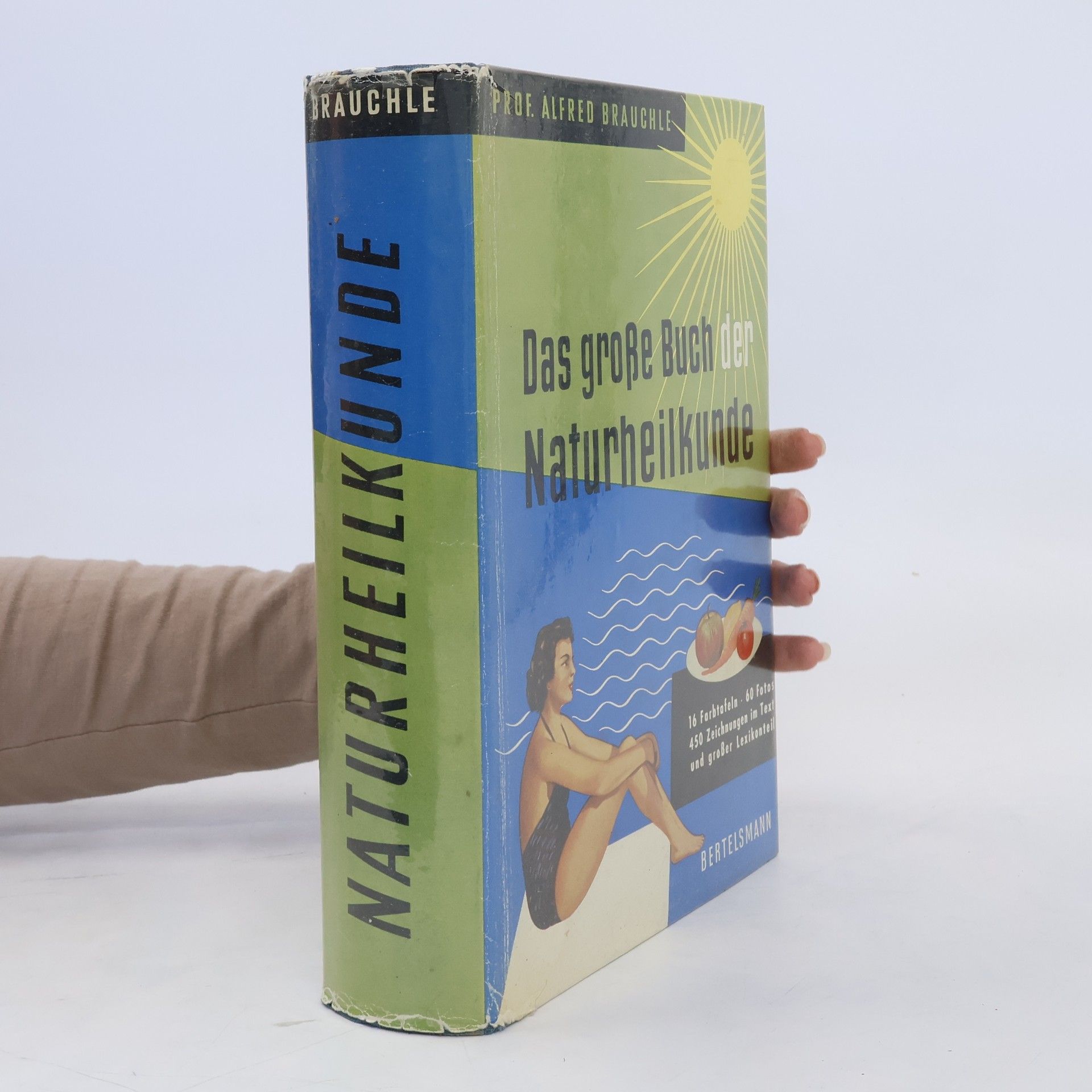 Alfred Brauchle Das große Buch den Naturheilkunde