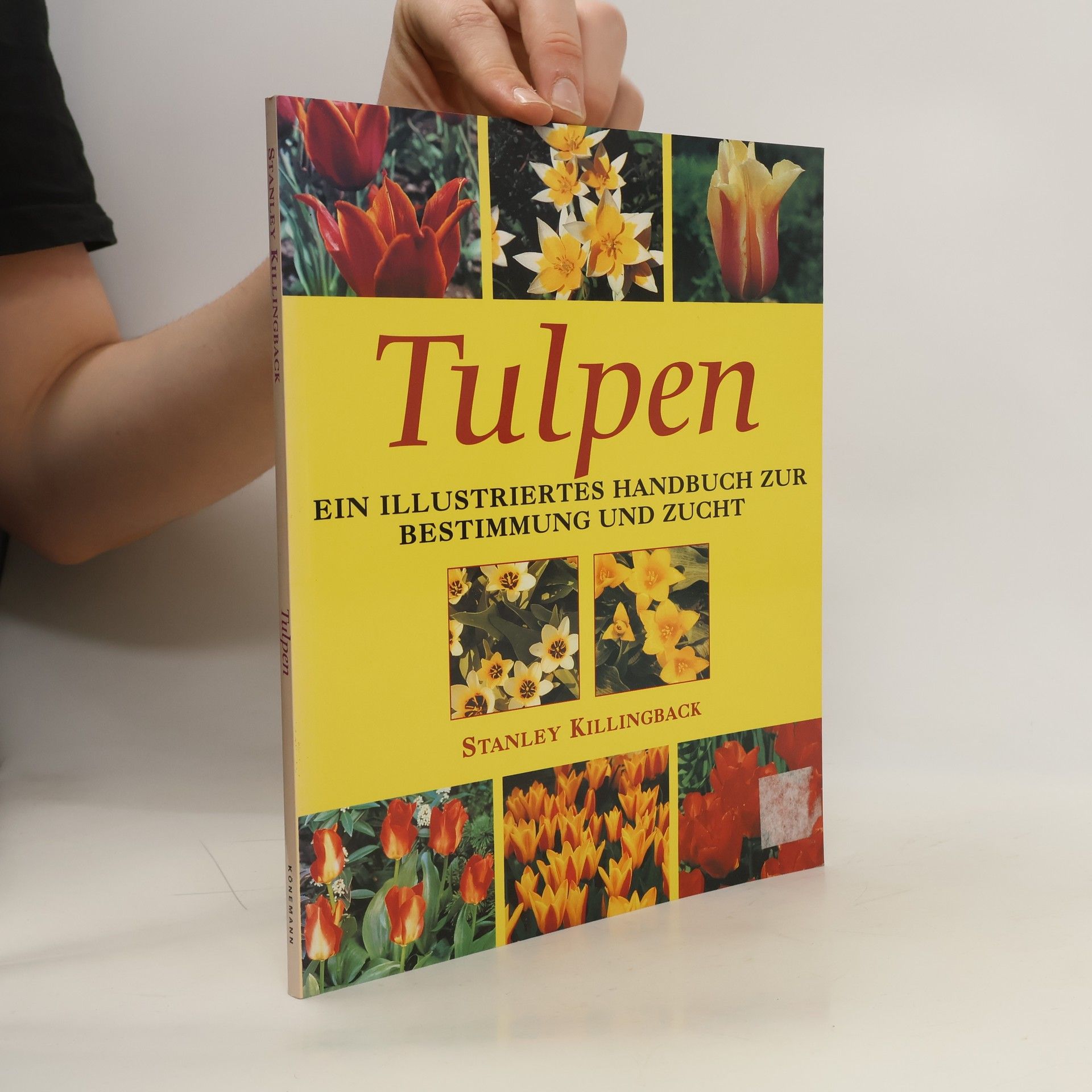 Stanley Killingback Tulpen