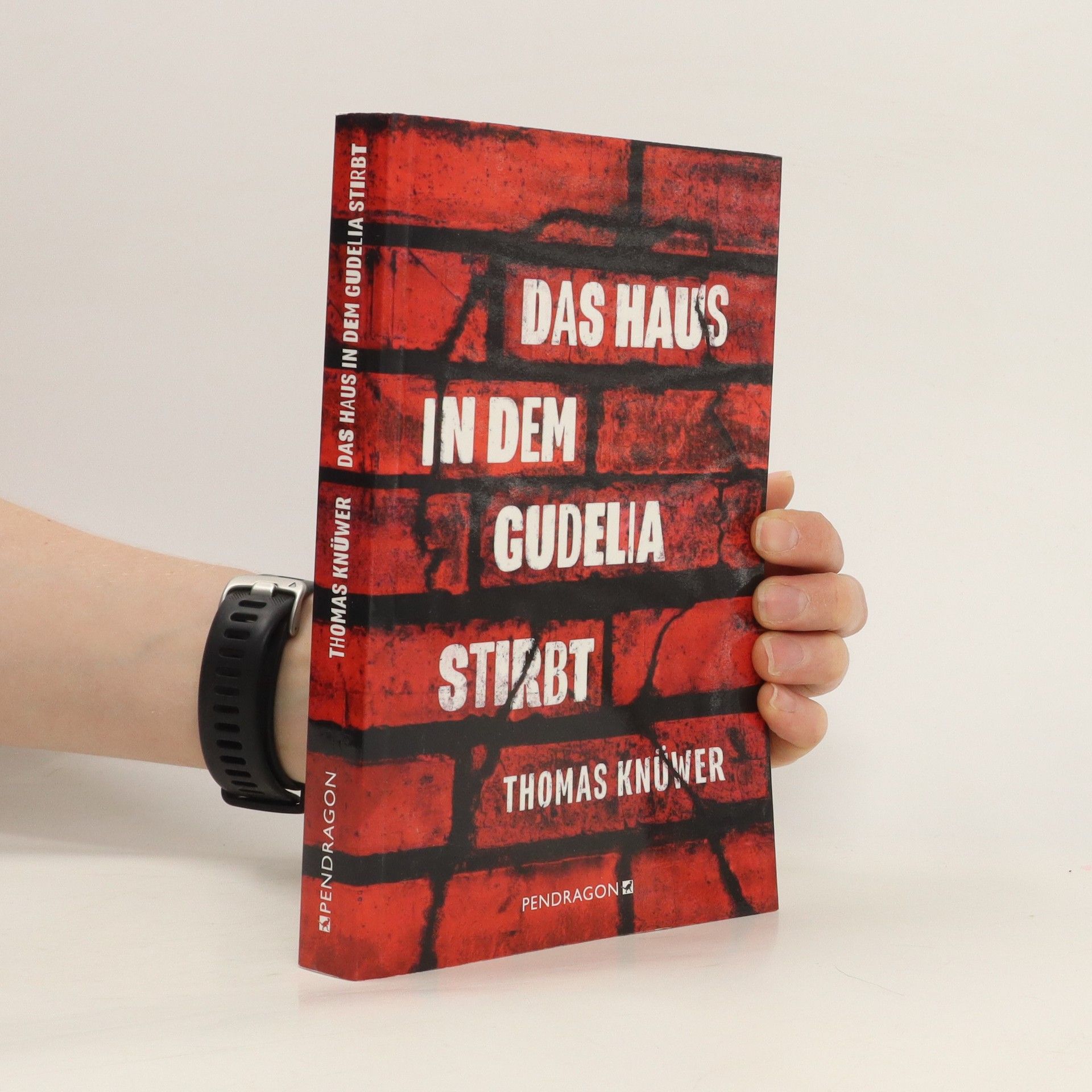Thomas Knüwer Das Haus in dem Gudelia stirbt. Kriminalroman