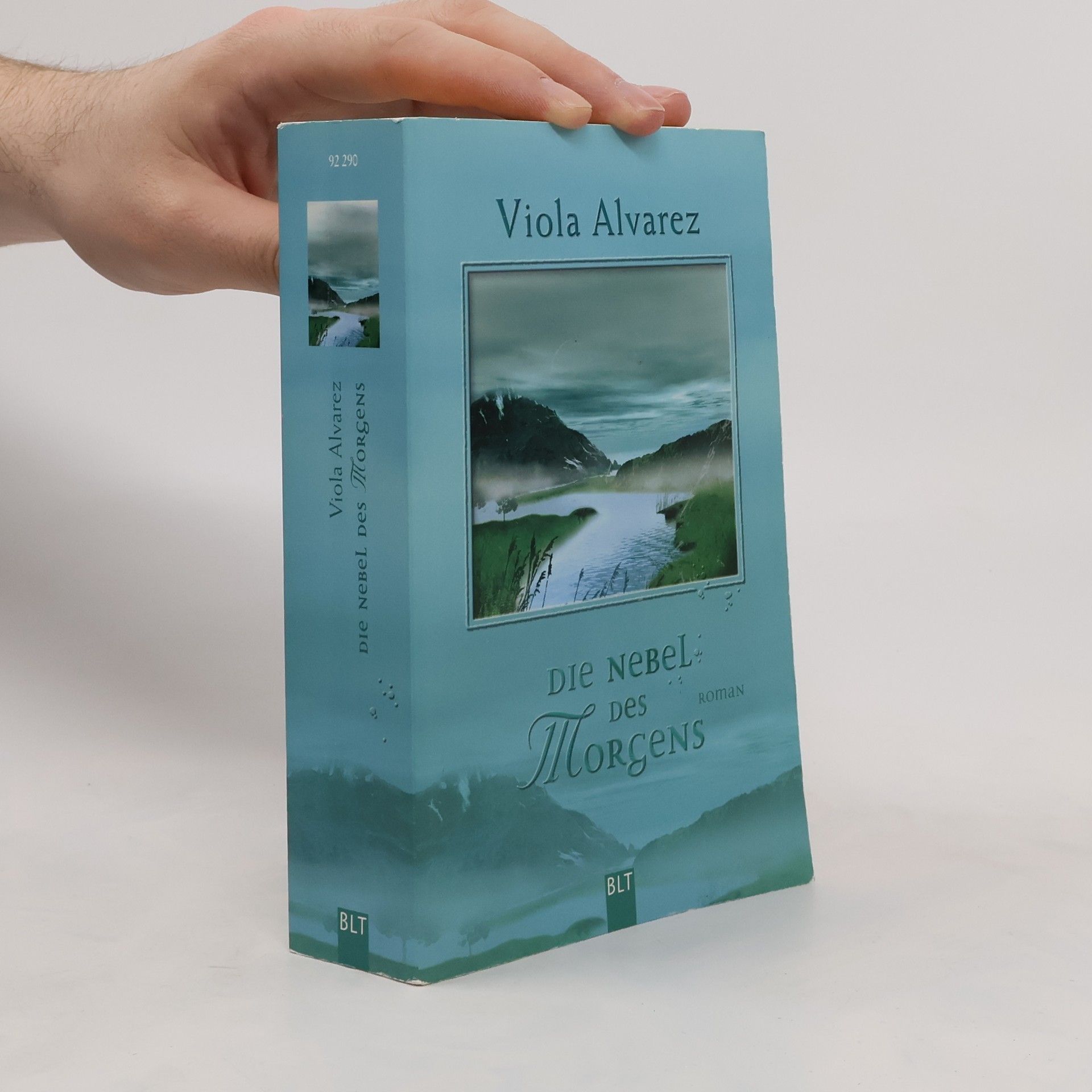 Viola Alvarez Die Nebel des Morgens