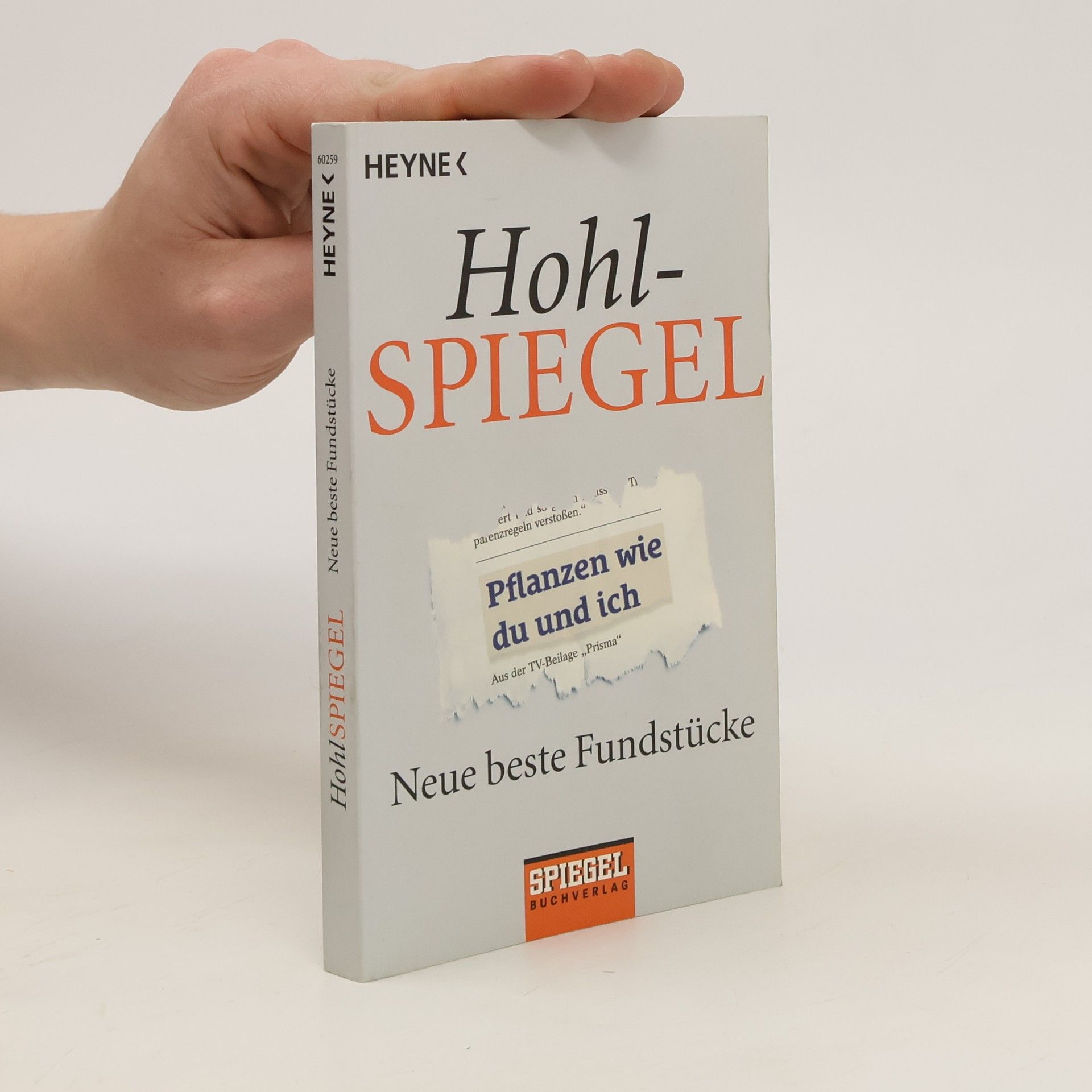 kolektiv Hohl-Spiegel