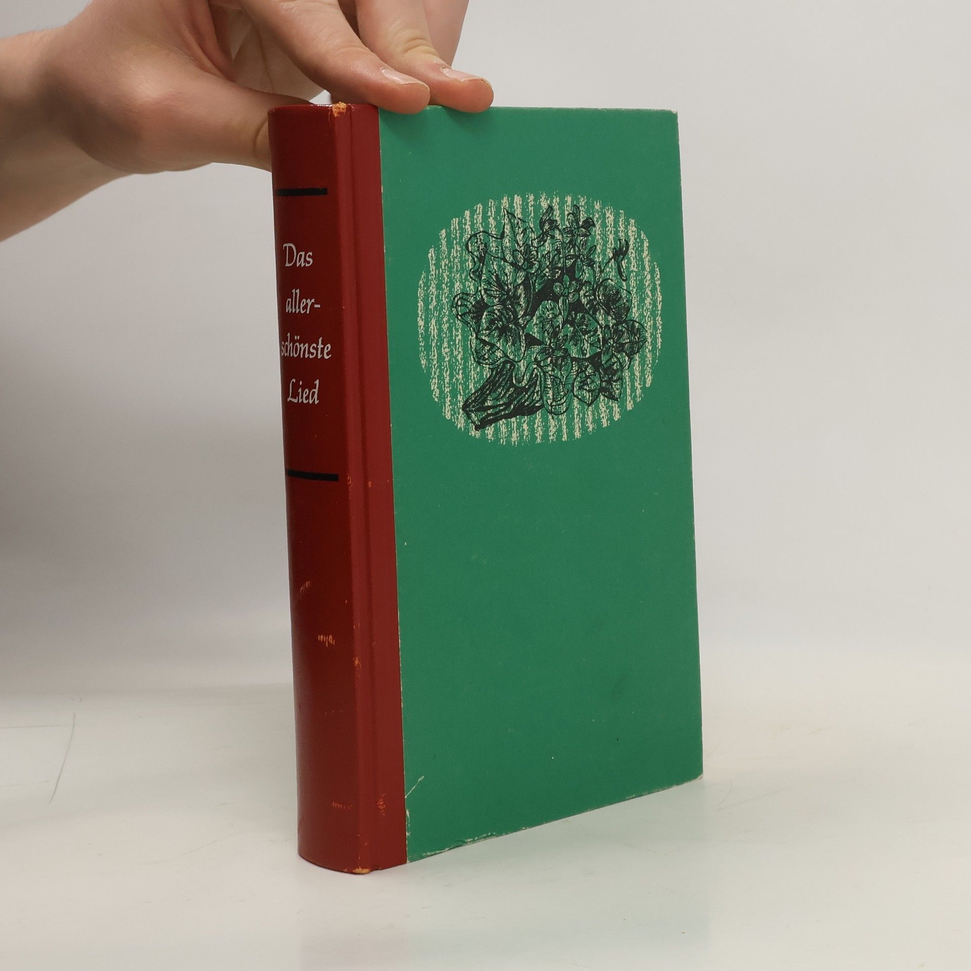 Autores varios Das allerschönste Lied