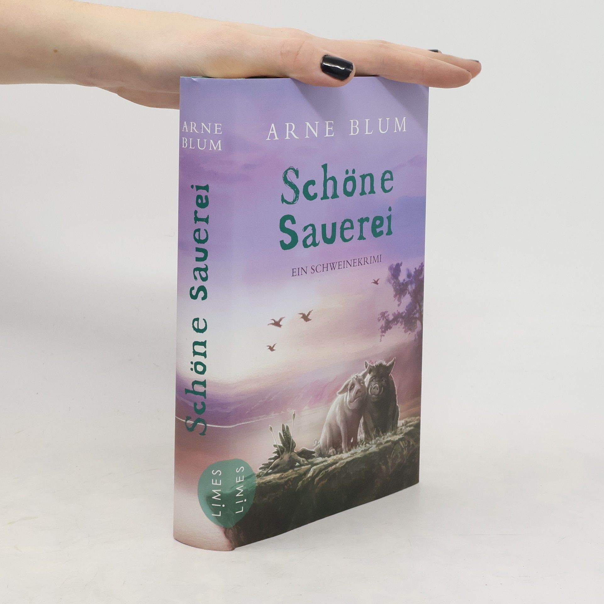 Arne Blum Schöne Sauerei