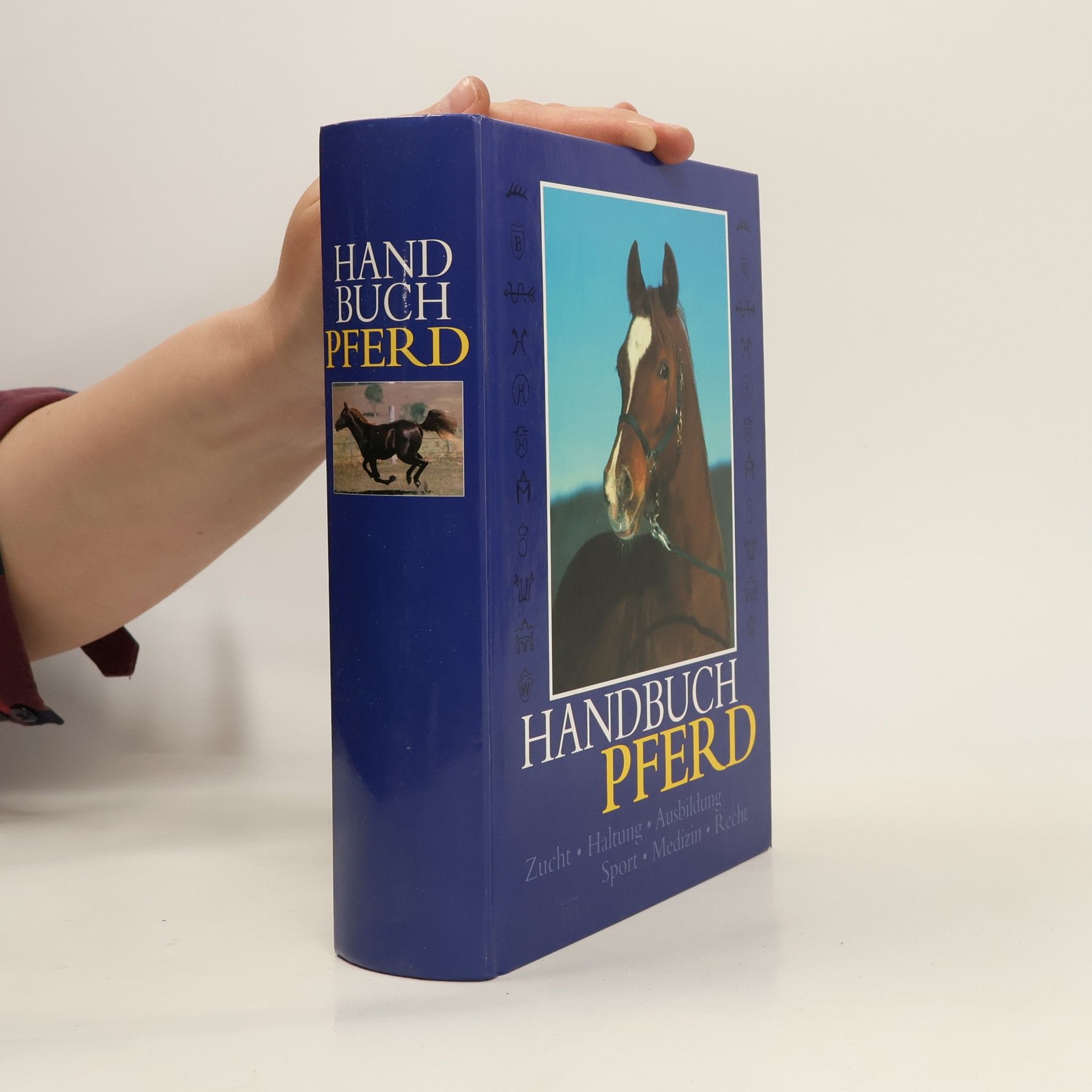 Autorenkollektiv Handbuch Pferd