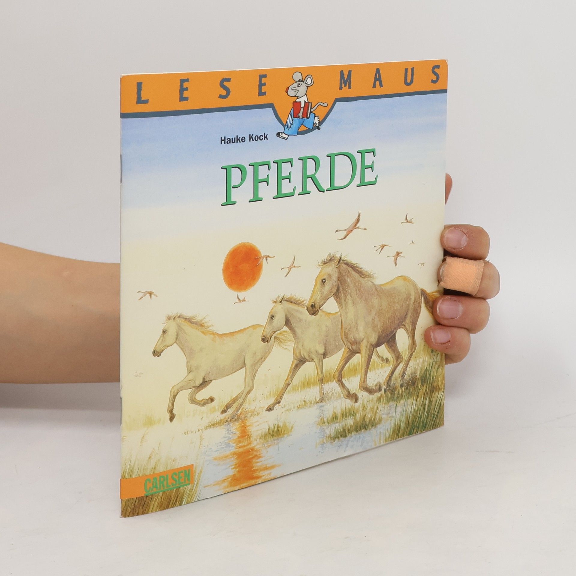 Hauke Kock Pferde