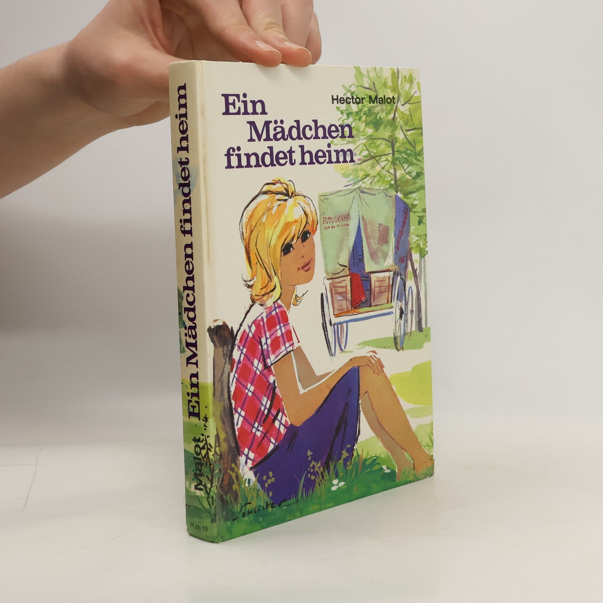 Hector Malot Ein Mädchen findet heim