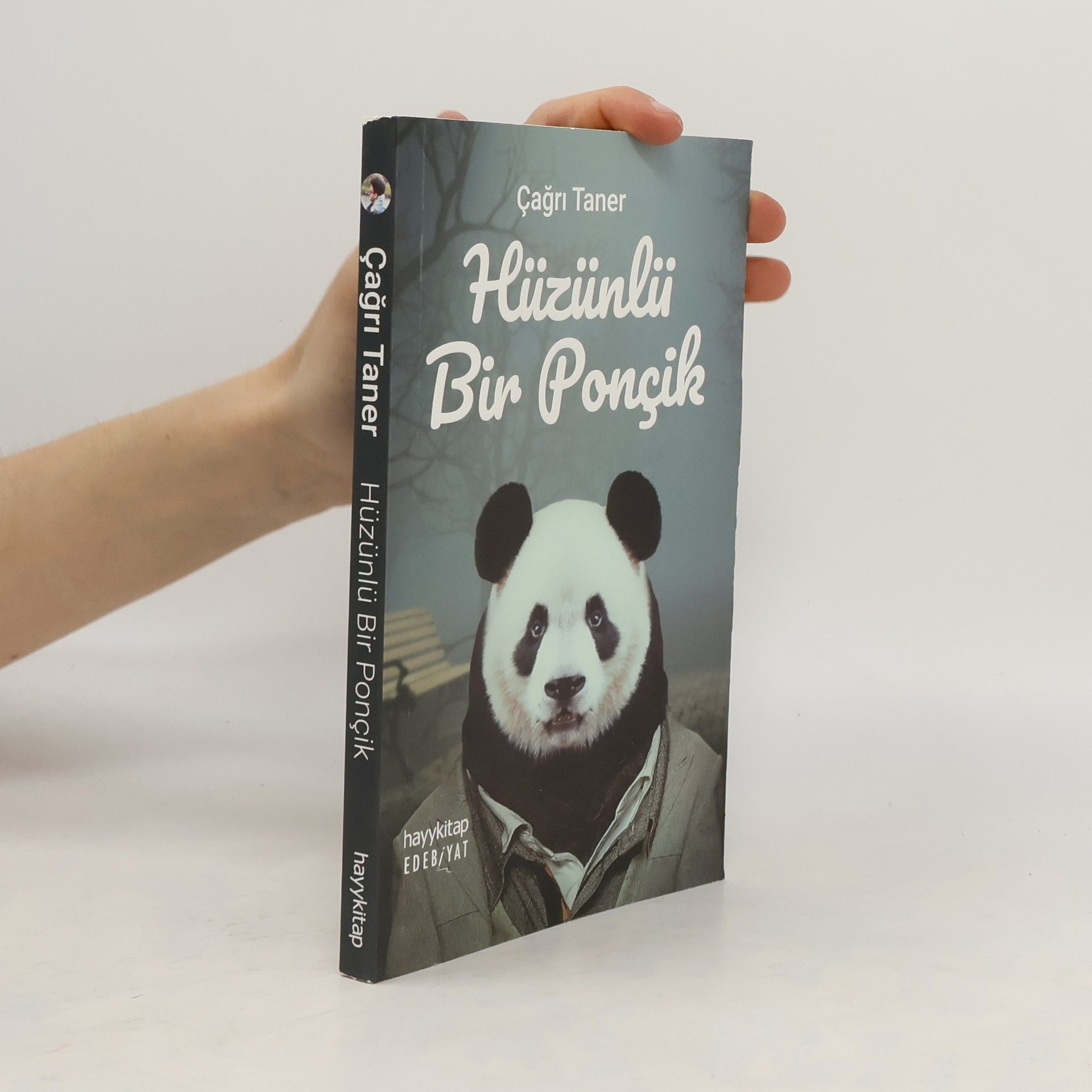 Cagri Taner Hüzünlü Bir Poncik