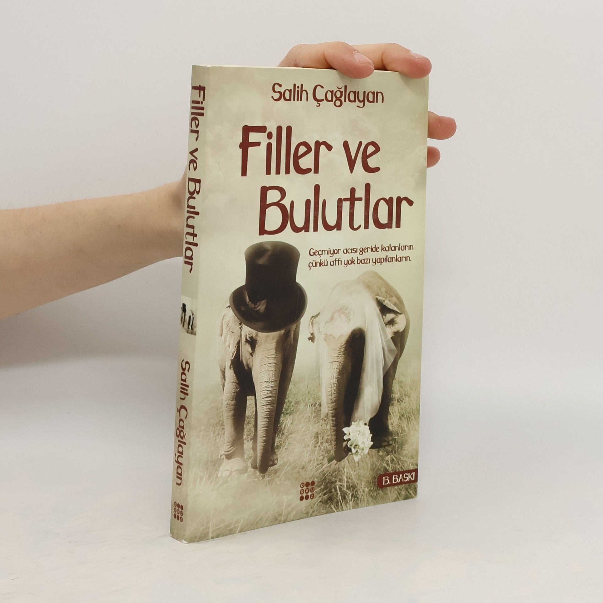 Salih Caglayan Filler ve Bulutlar