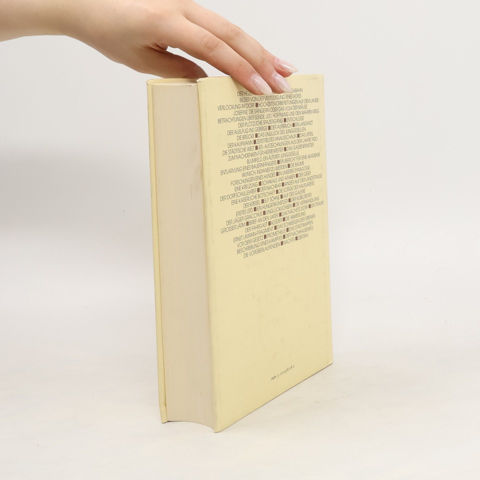 Franz Kafka Das Franz Kafka Buch