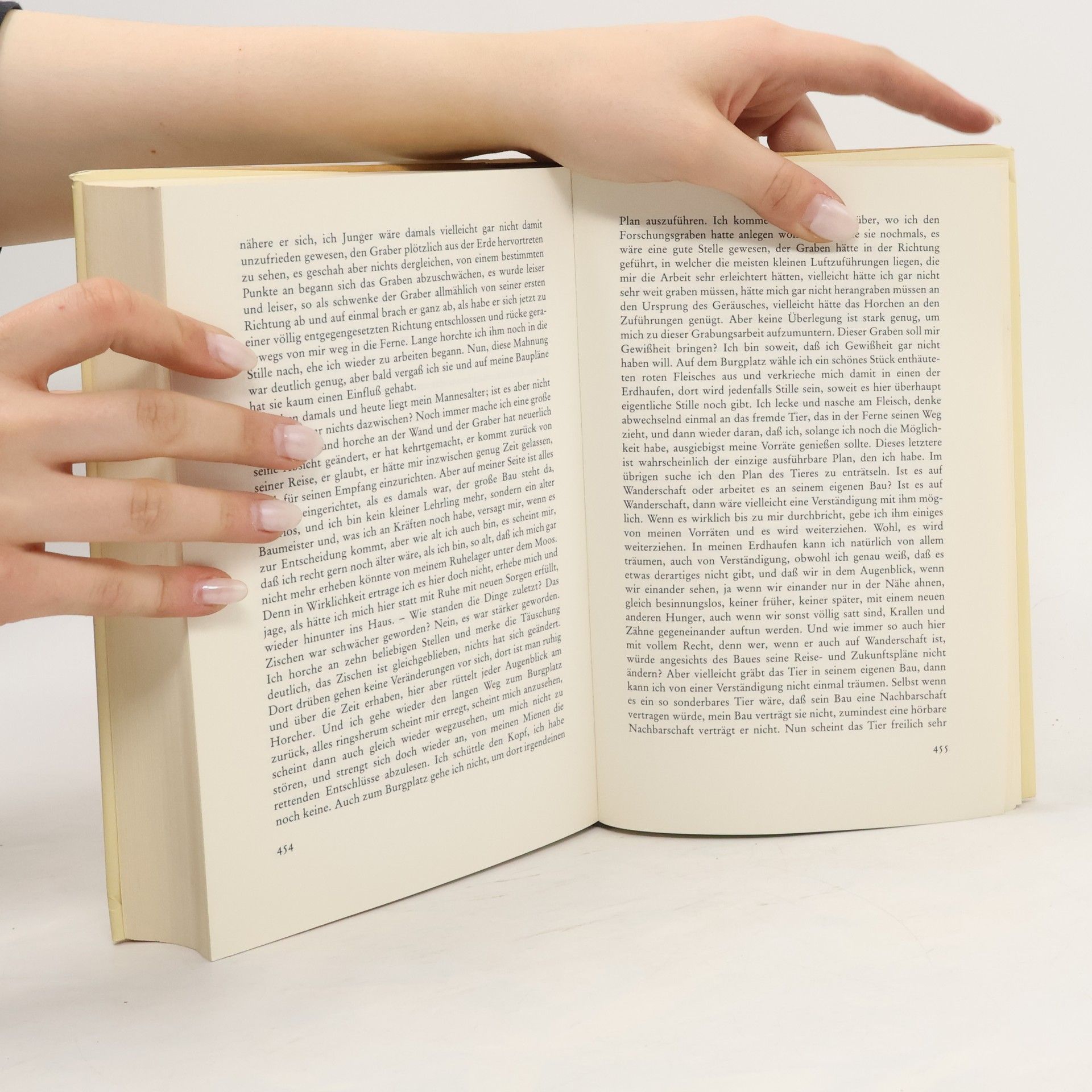 Franz Kafka Das Franz Kafka Buch