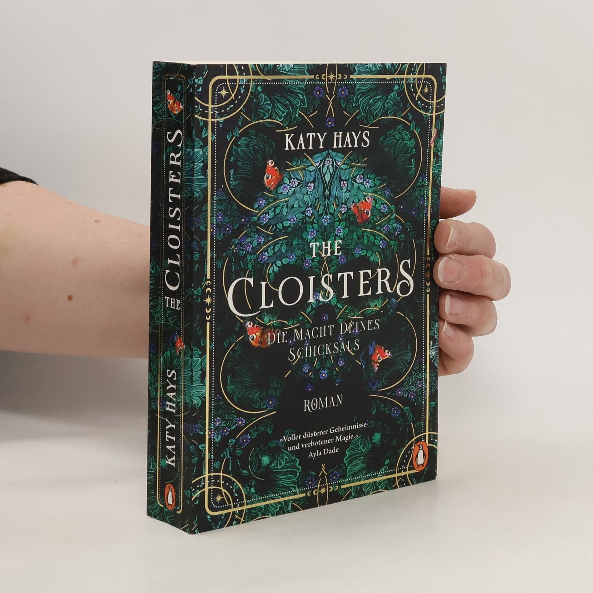 Katy Hays The Cloisters