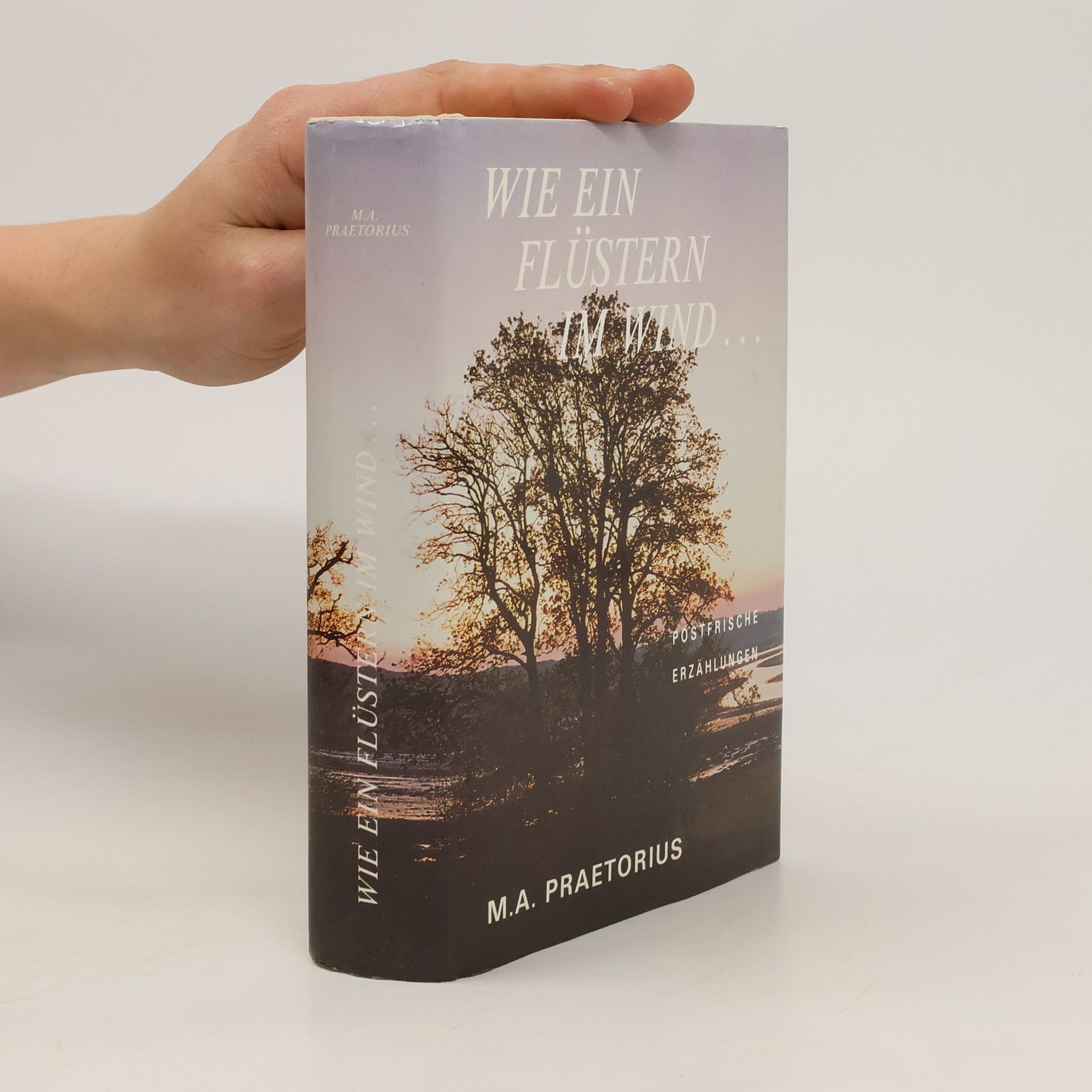 M. A. Praetorius Wie ein fl¨stern im Wind…