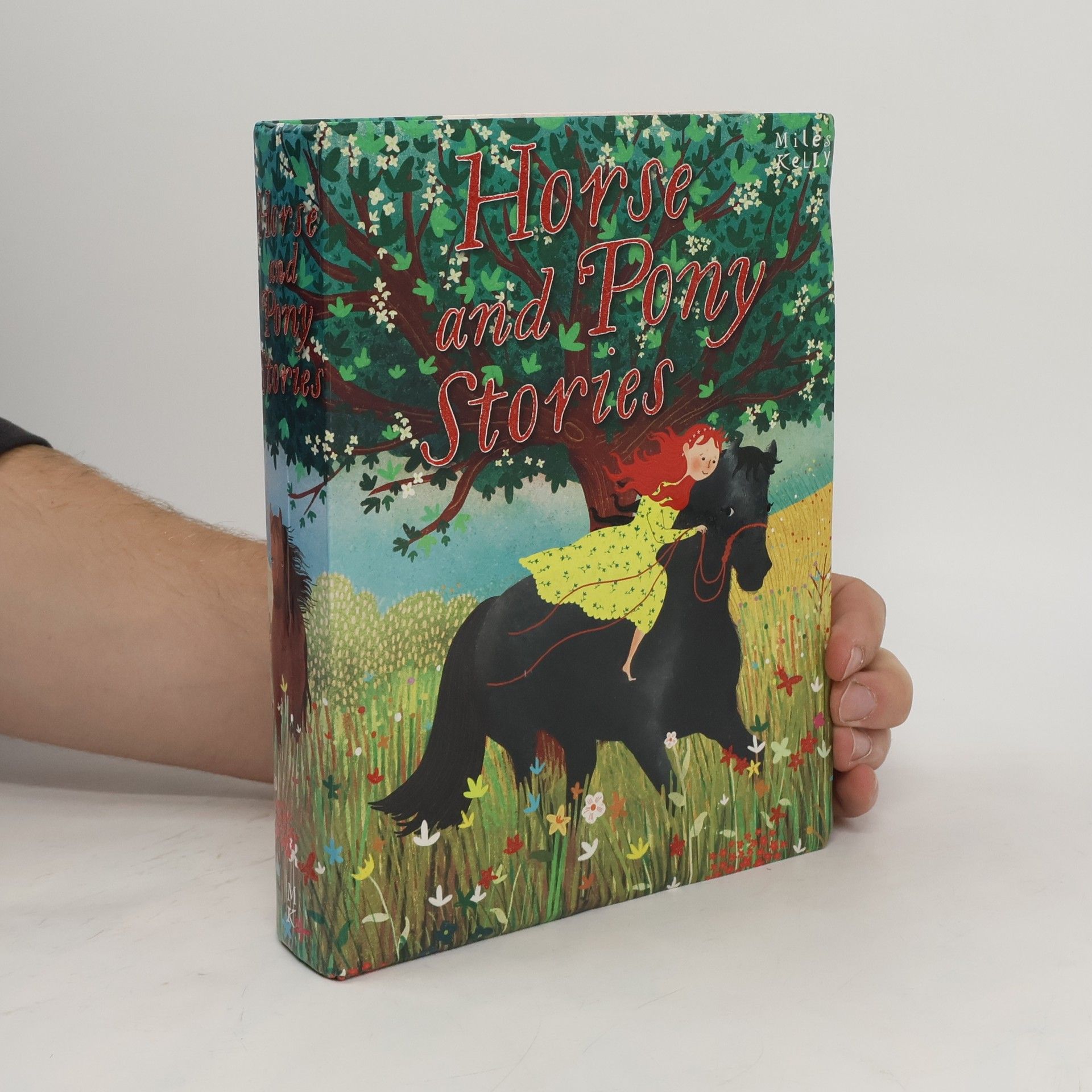 kolektiv Horse and Pony Stories