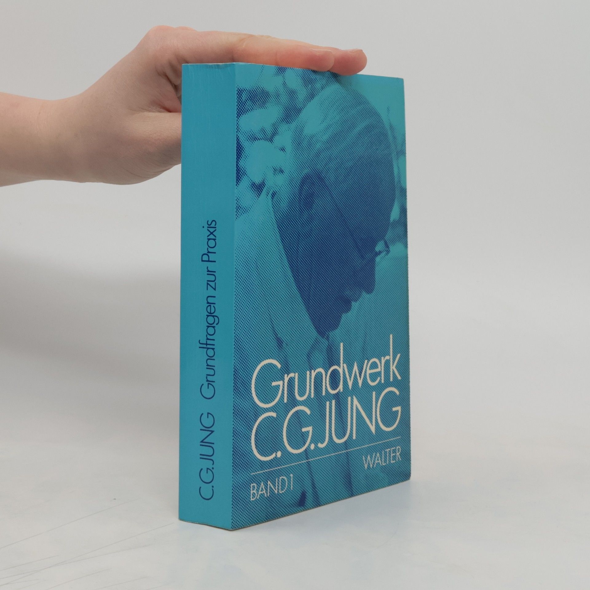 Carl Jung Grundfragen zur Praxis