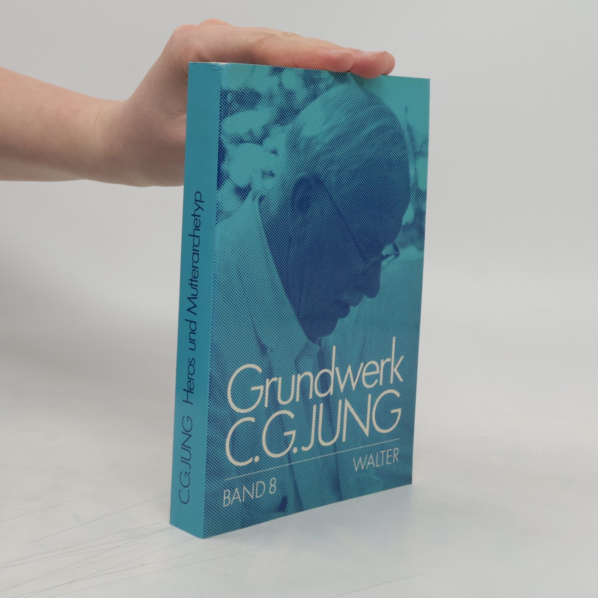 Carl Jung Grundwerk Band 8