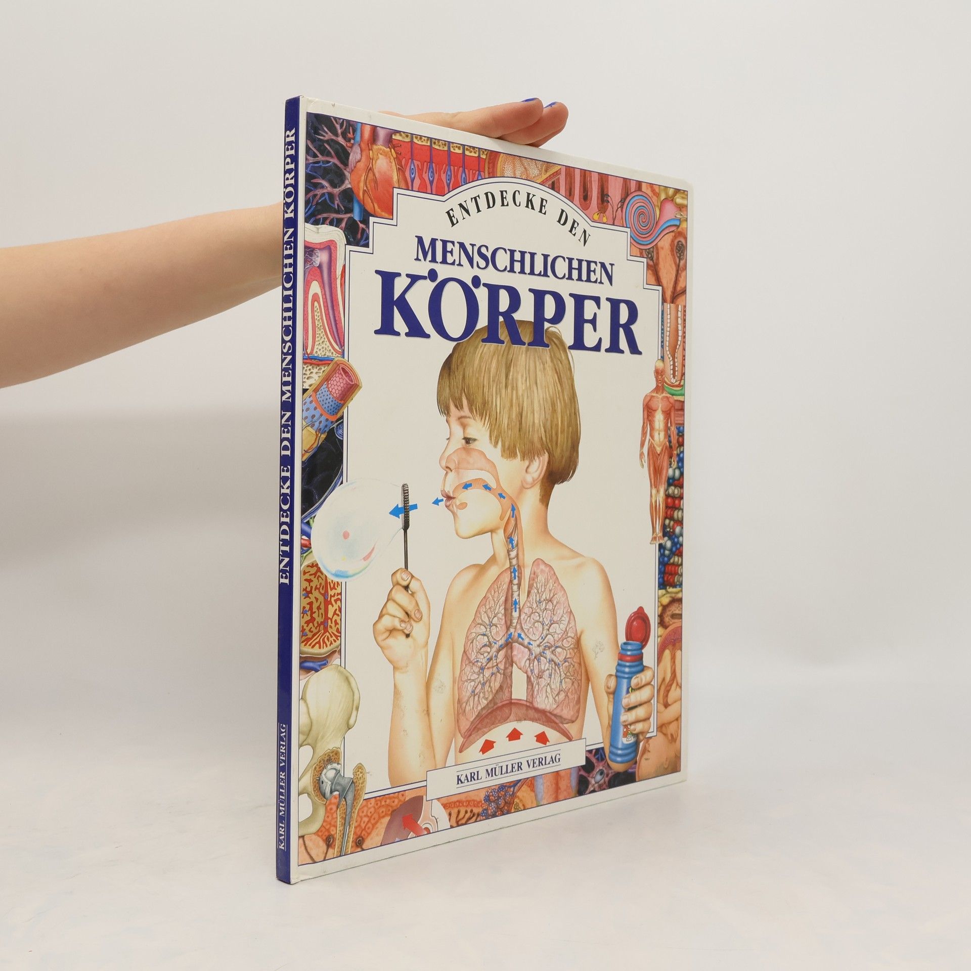 Kate Barnes Entdecke den menschlichen Körper