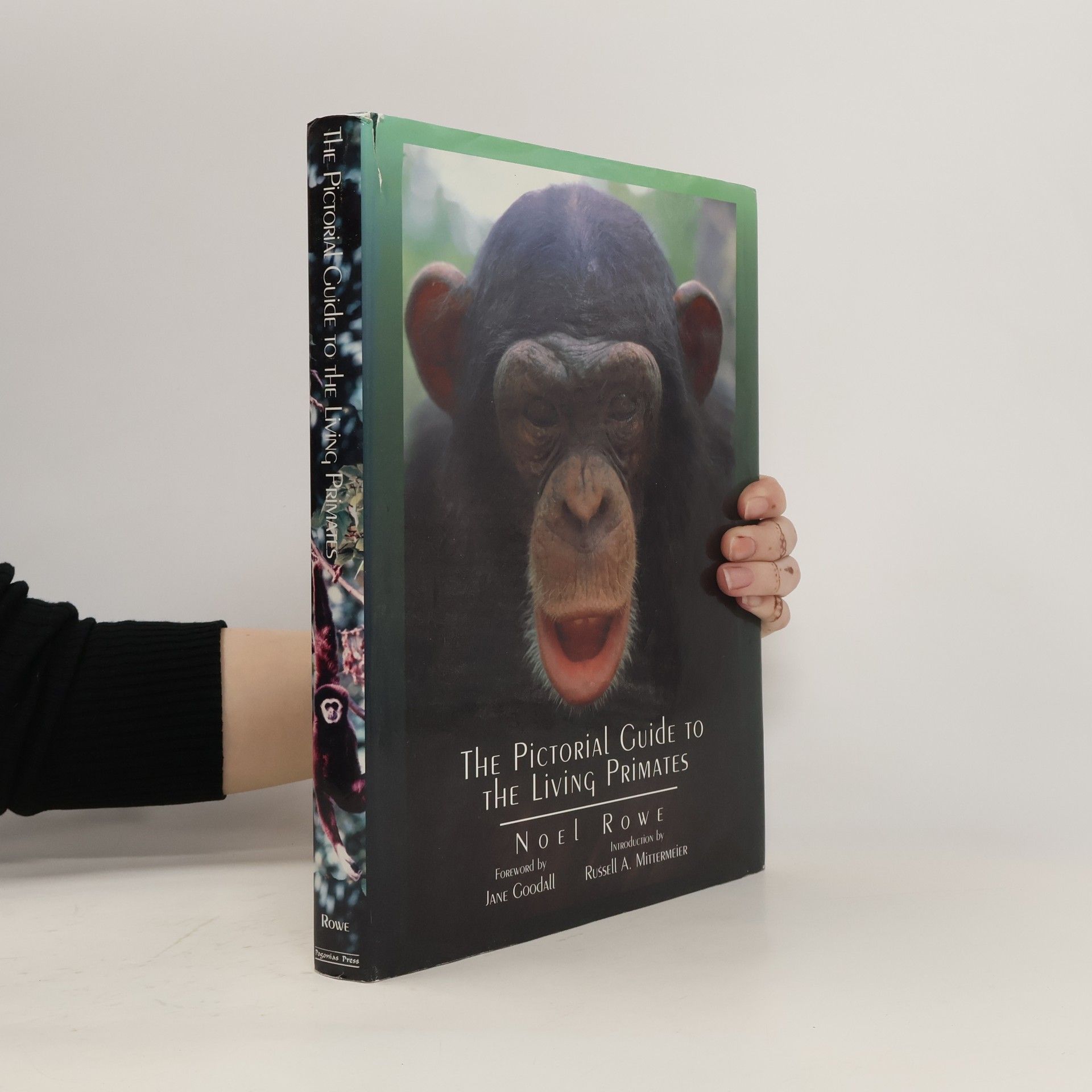 Noel Rowe The Pictorial Guide to the Living Primates