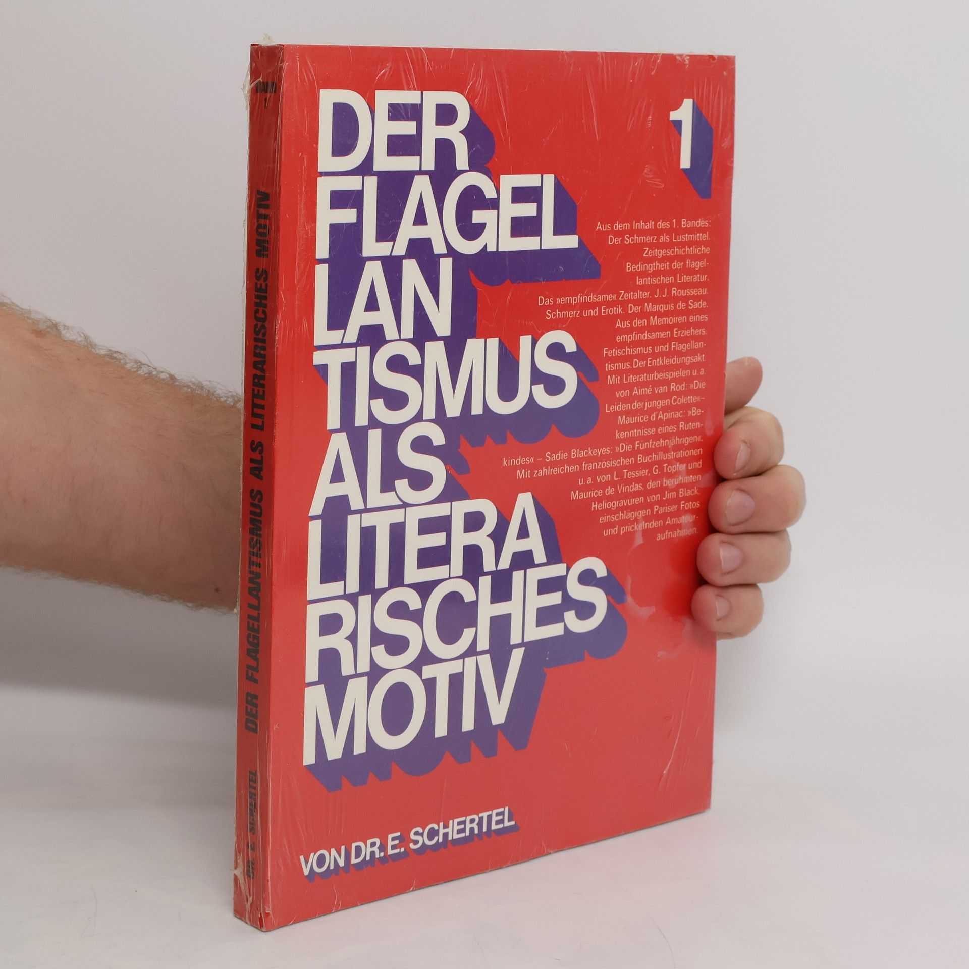 Der Flagellantismus als Literarisches Motiv 1
