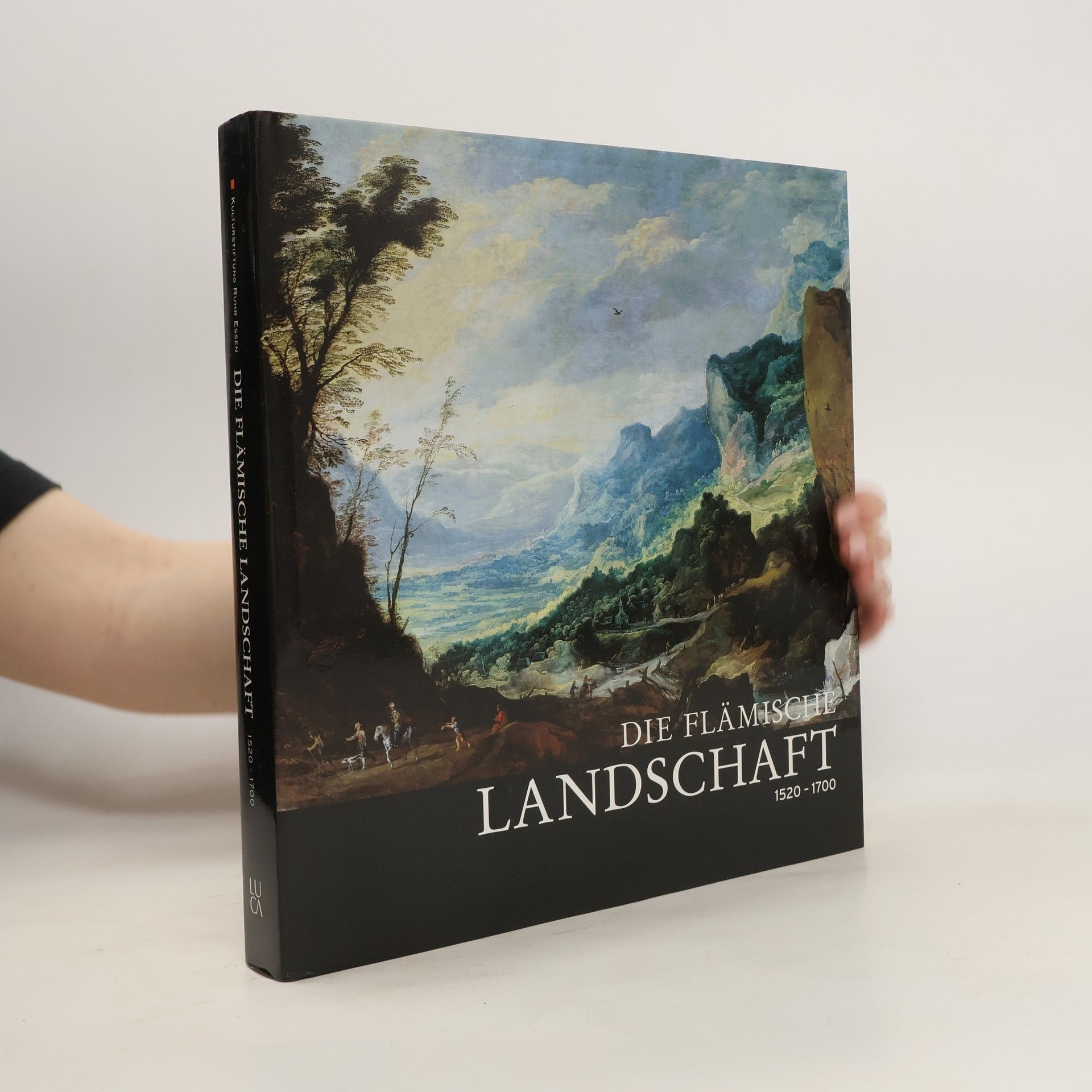 Hanna Benesz Die flämische Landschaft