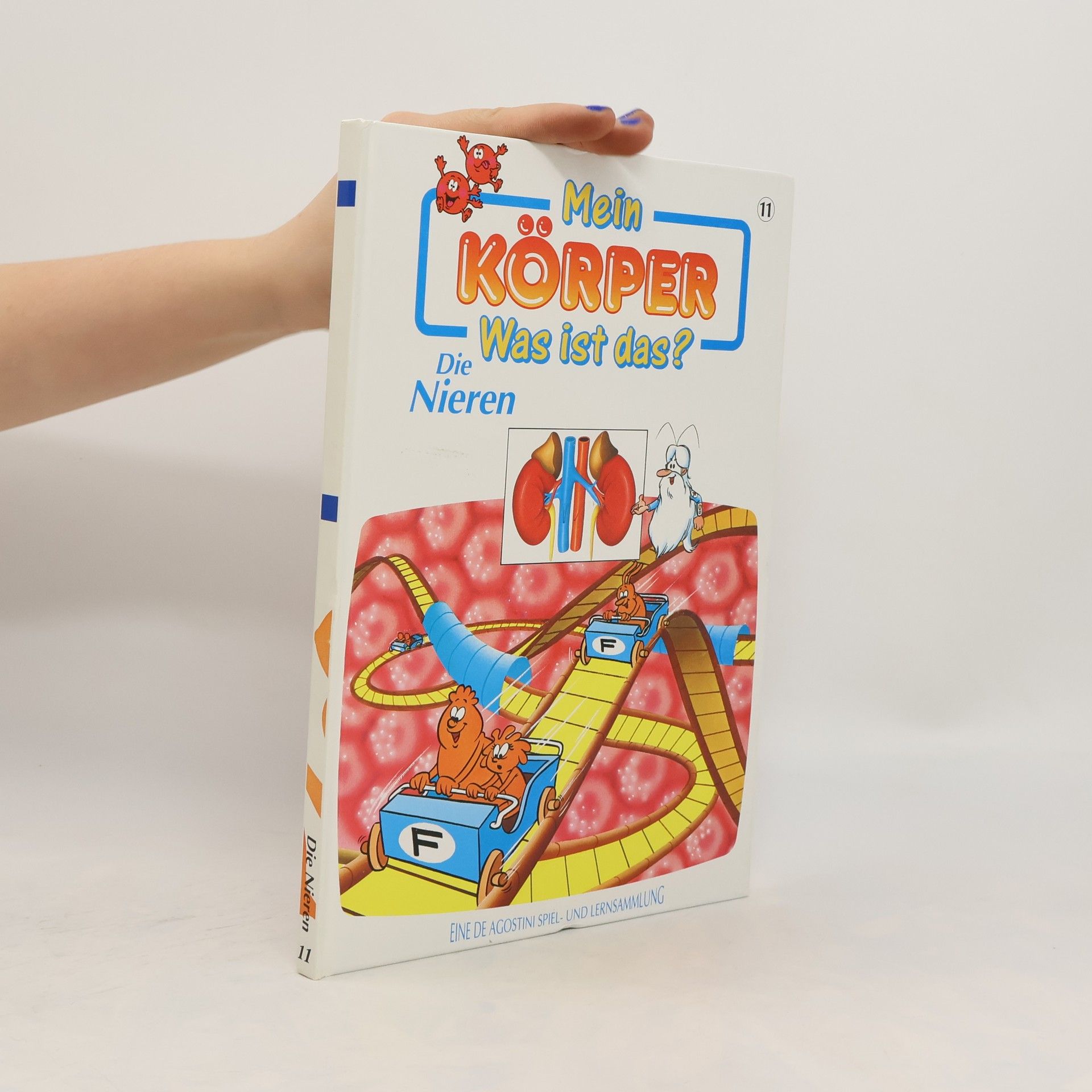 Autorenkollektiv Mein Körper. Was ist das? 11. Die Nieren