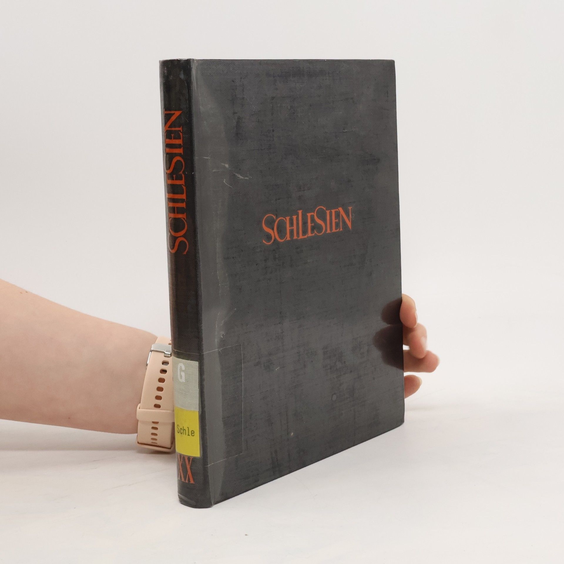 Autorenkollektiv Schlesien XX. Jahrgang