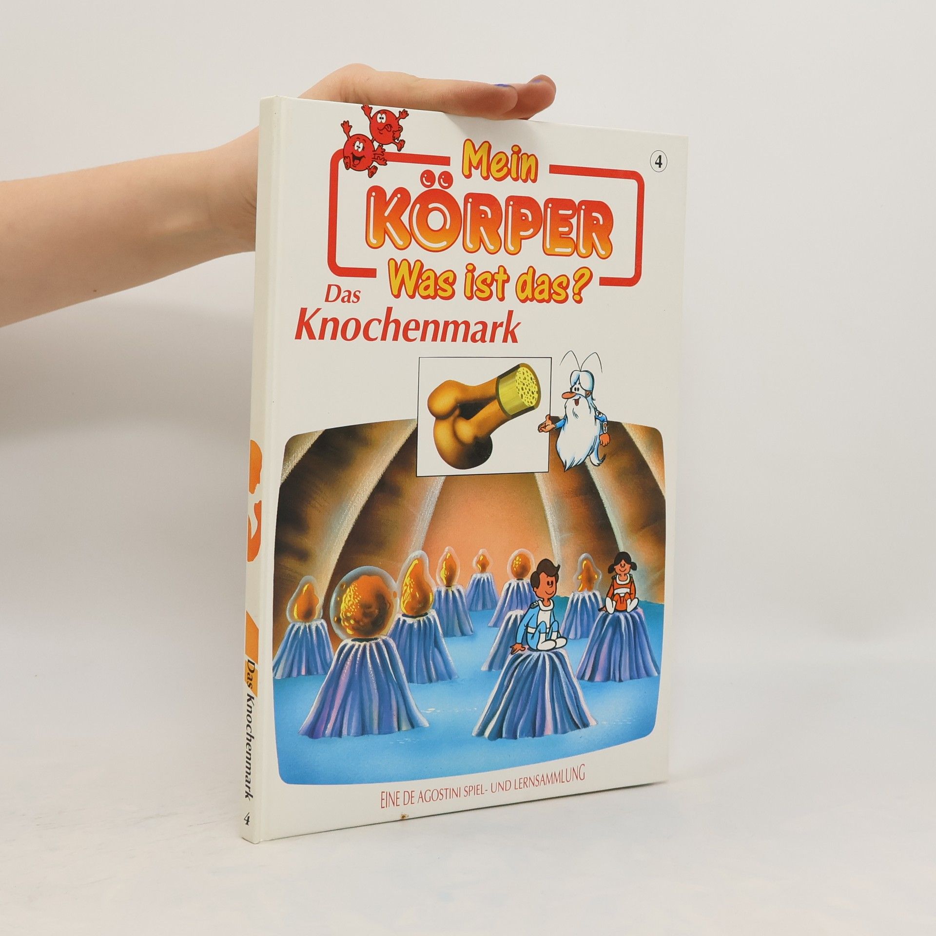 Collectif d'auteurs Mein Körper. Was ist das? 4. Das Knochenmark