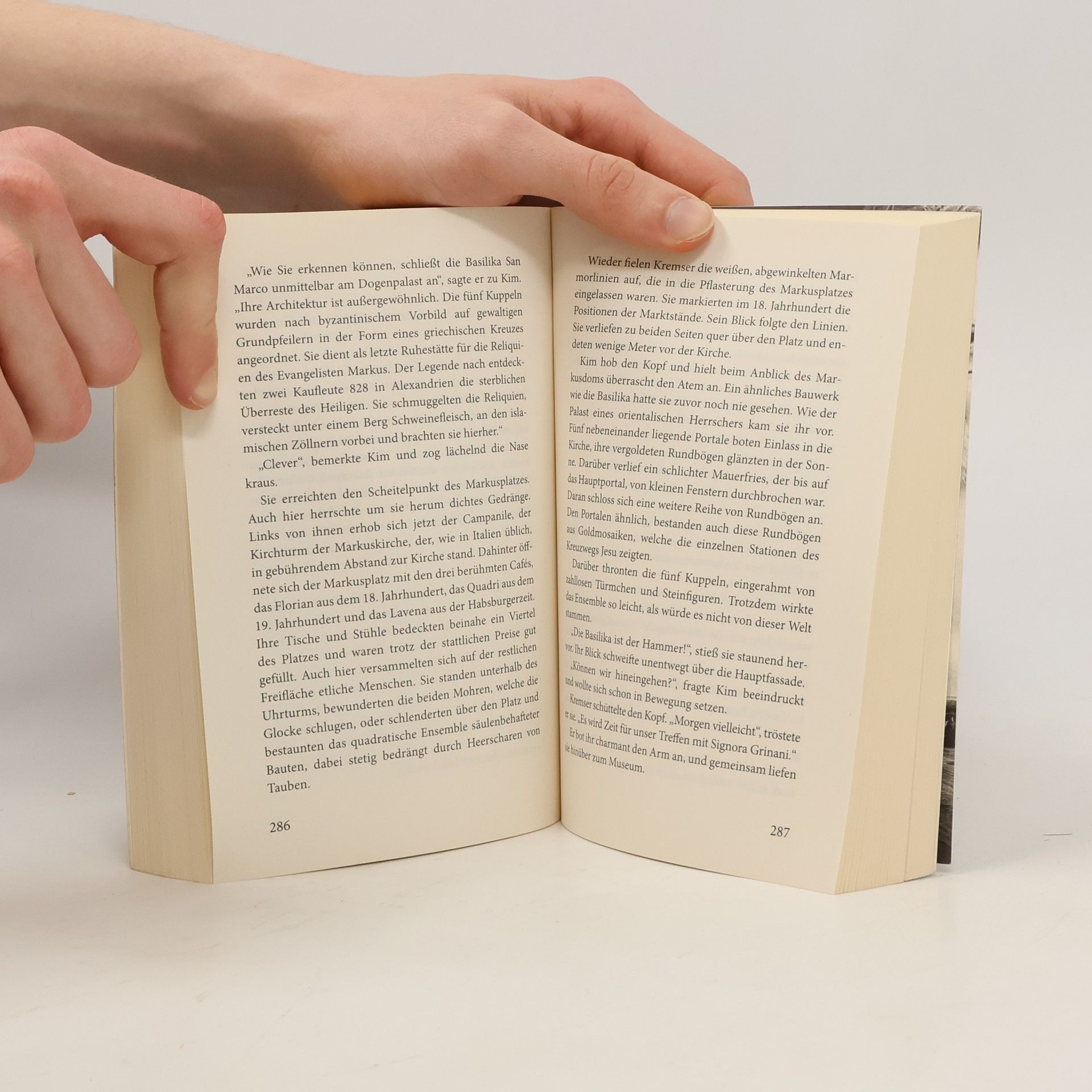 Sylvia Vandermeer Janusblut