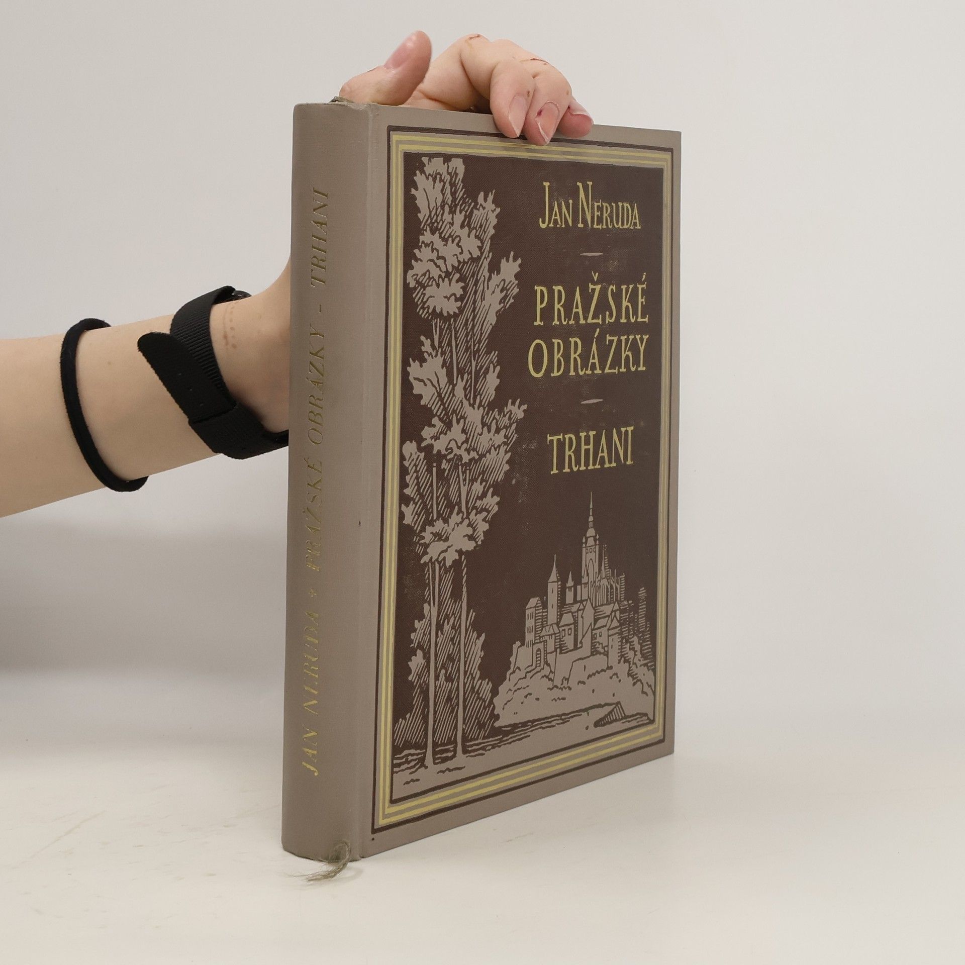 Jan Neruda Pražské obrázky. Trhani
