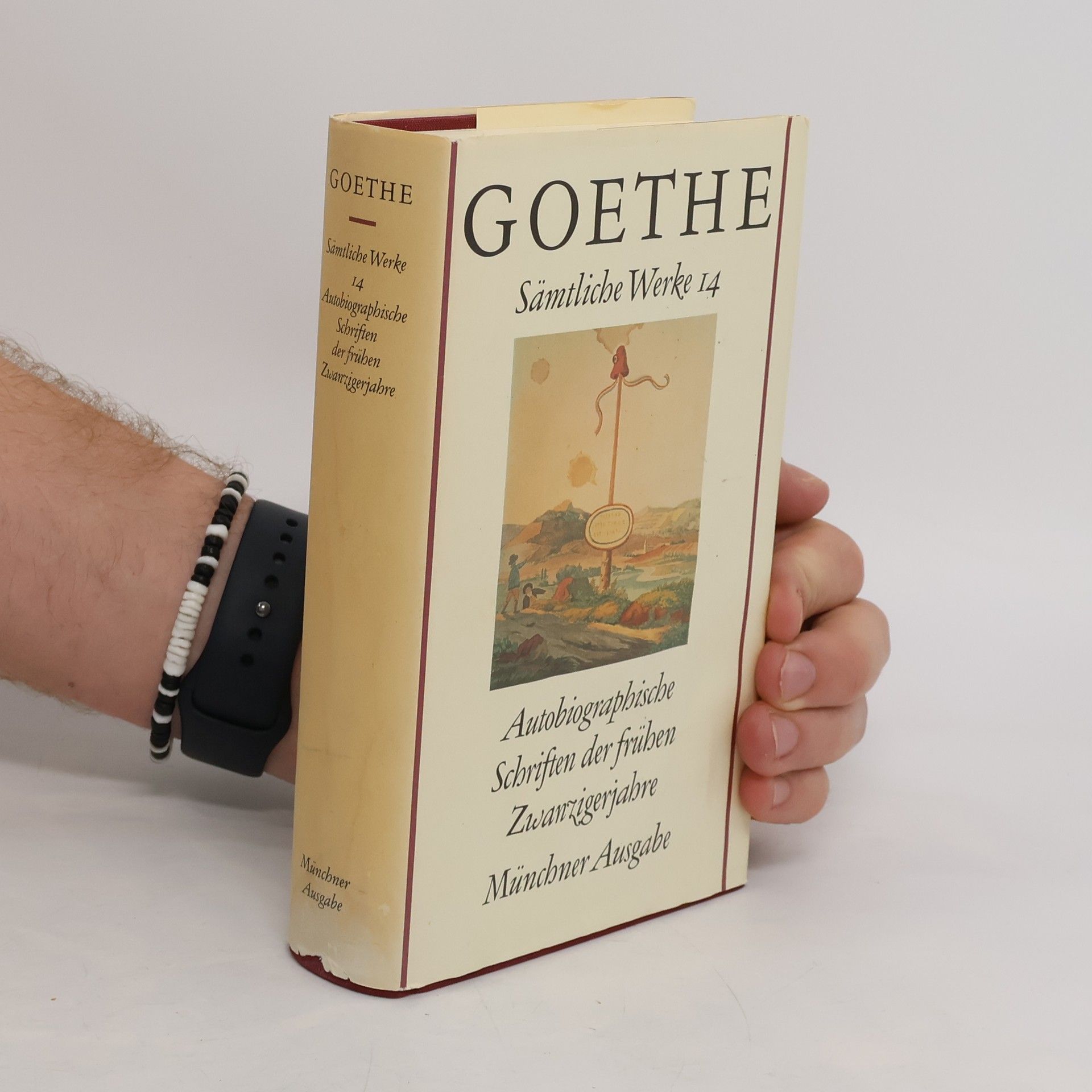 Johann Wolfgang von Goethe Goethe. Sämtliche Werke 14