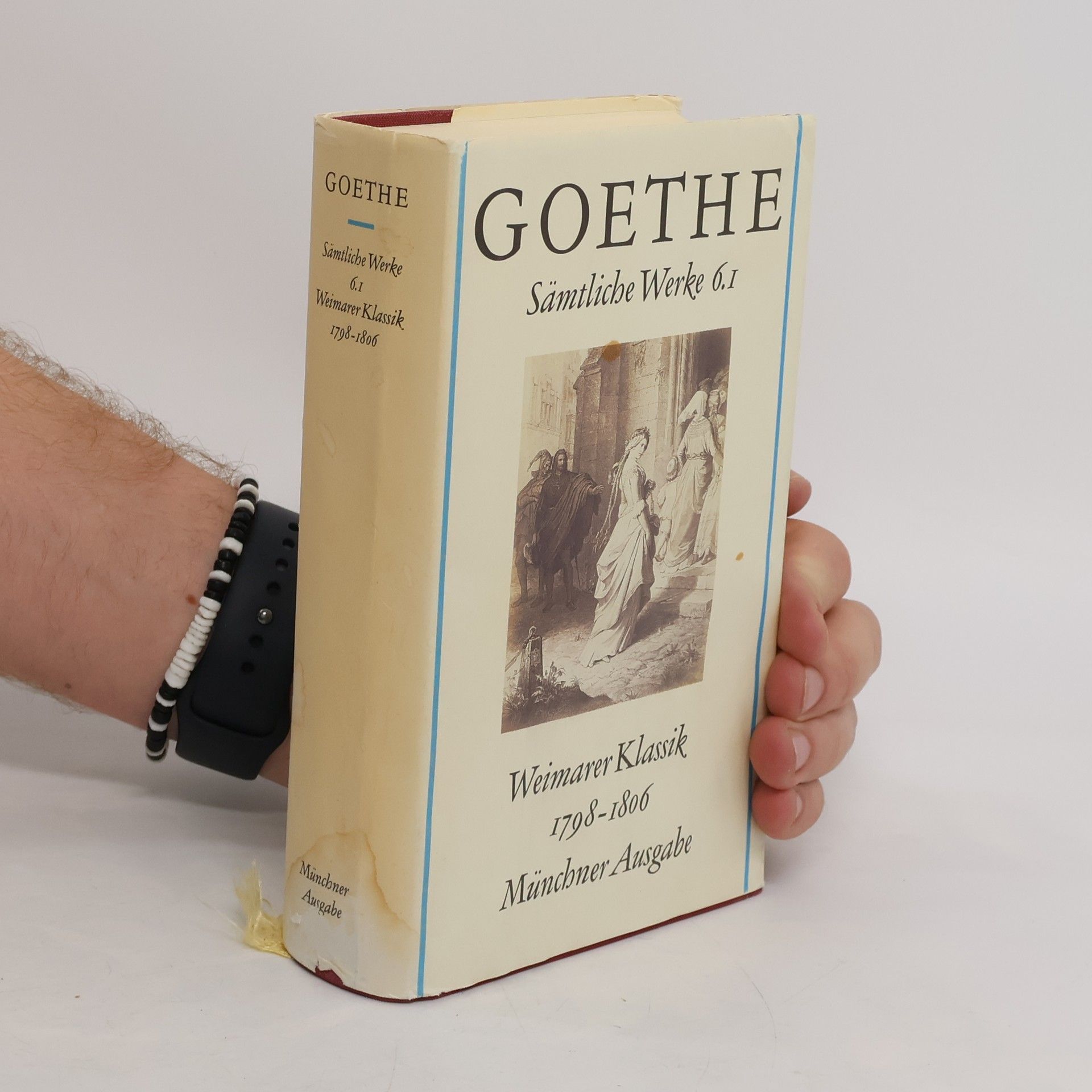 Johann Wolfgang von Goethe Goethes Sämtliche Werke 6.I