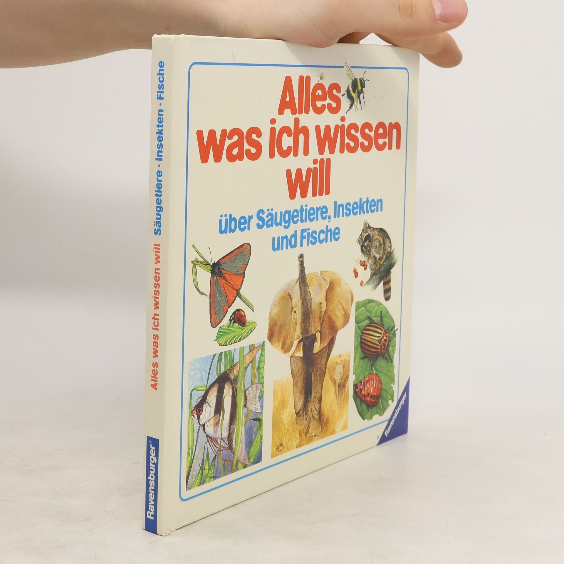 Barbara Cork Alles, was ich wissen will über Säugetiere, Insekten und Fische