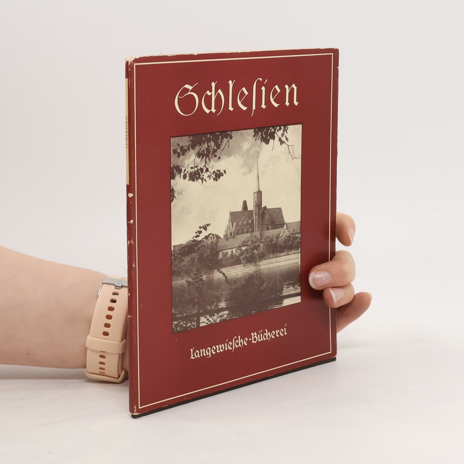 Wilhellm Meridies Schlesien