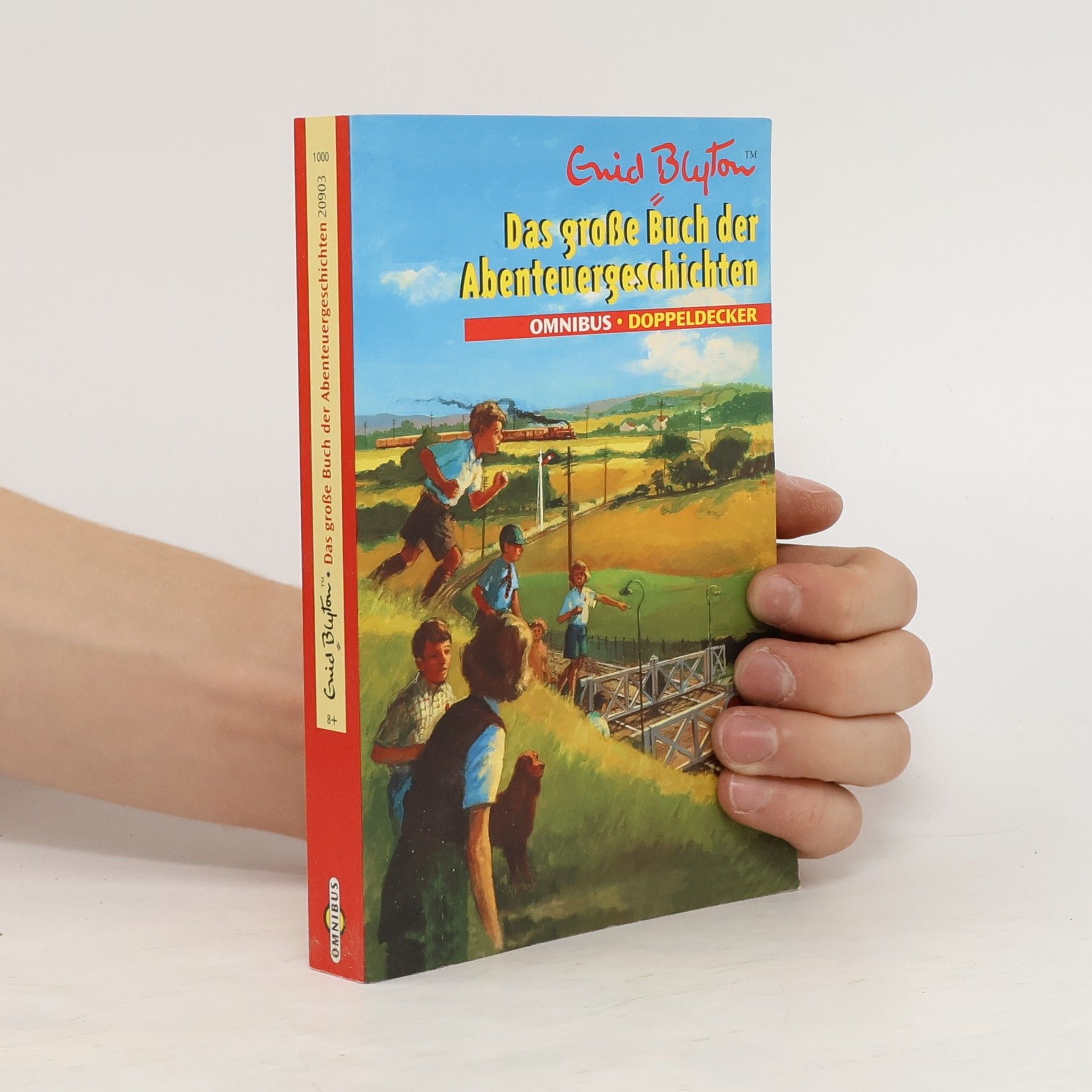 Enid Blyton Das große Buch der Abenteuergeschichten