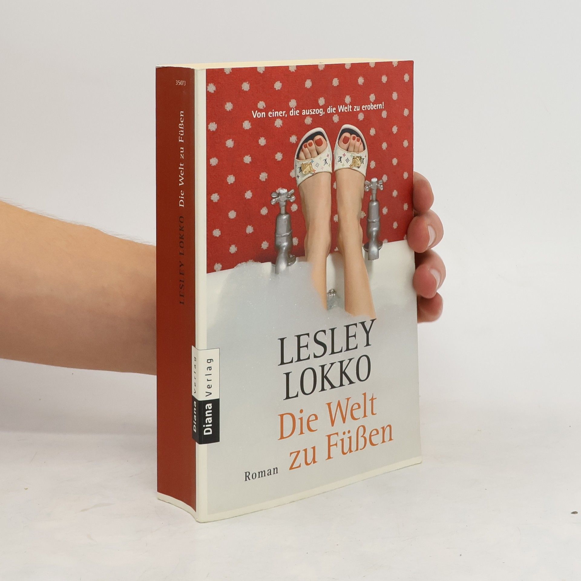 Lesley Lokko Die Welt zu Füßen