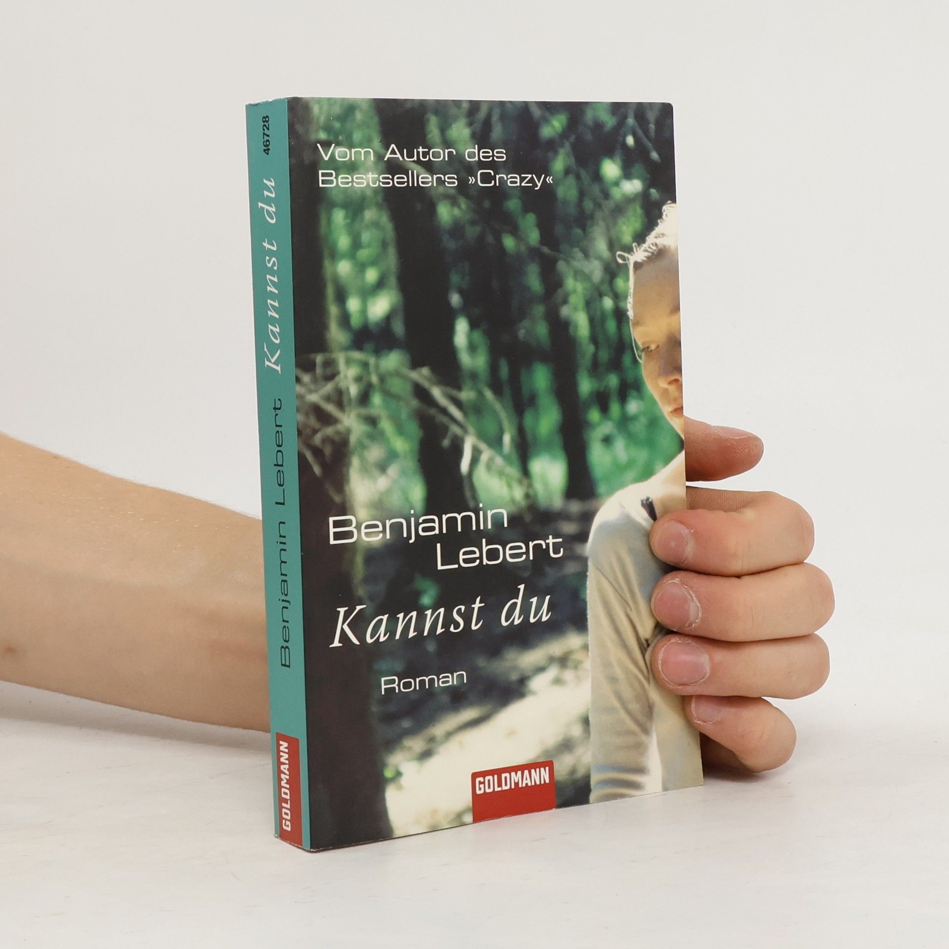 Benjamin Lebert Kannst du