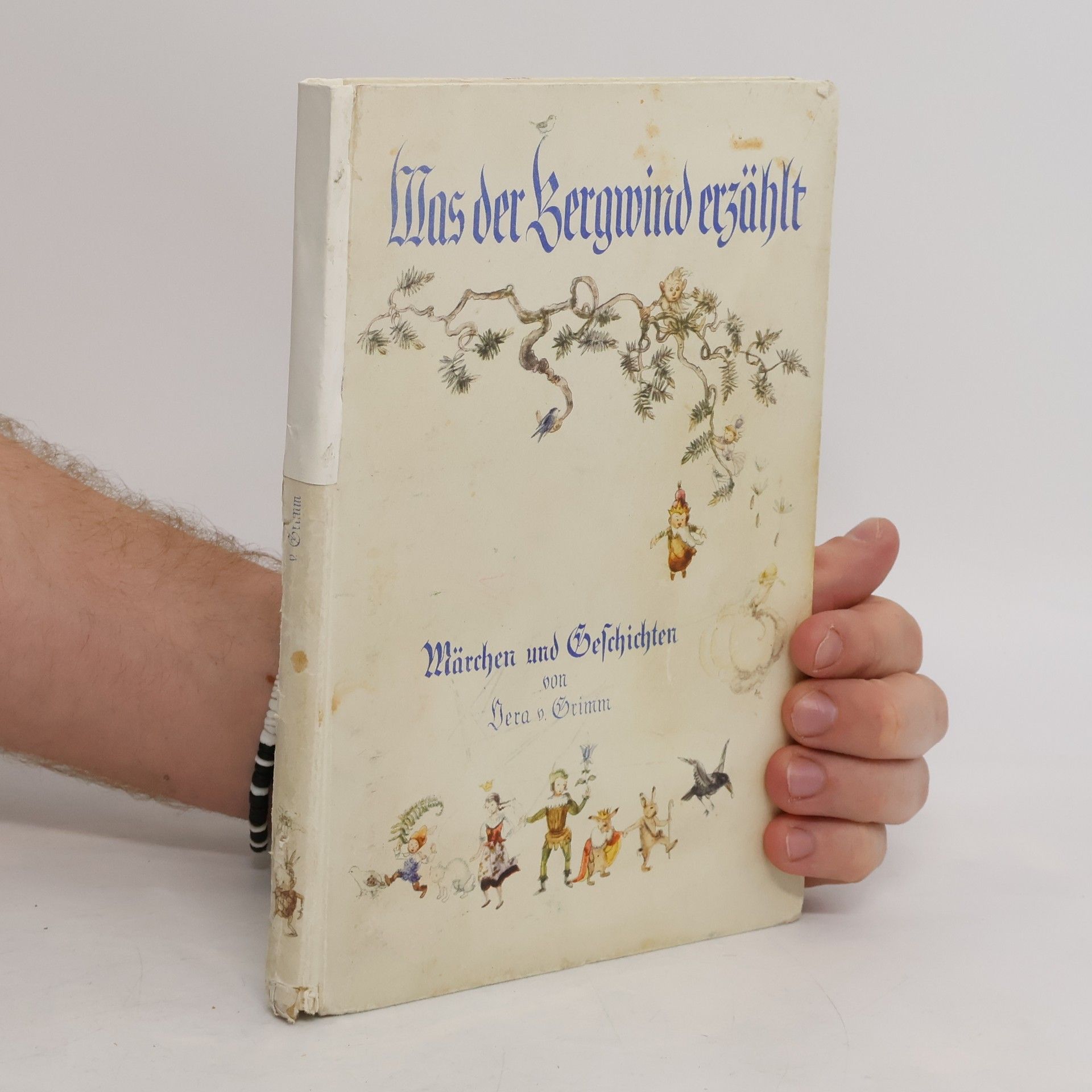 Vera Eggert-Grimm Was der Bergwind erzählt. Märchen u. Geschichten