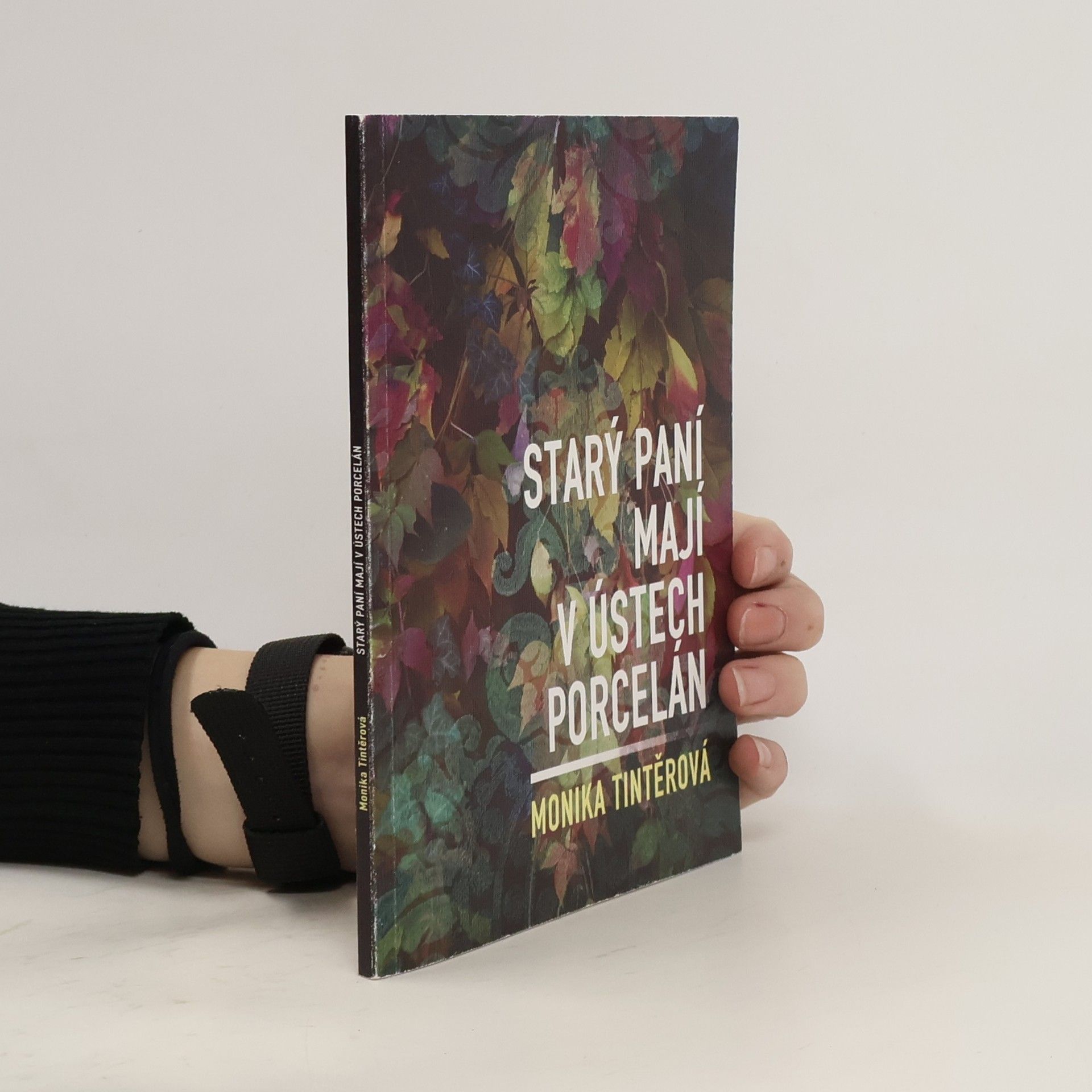 Monika Tintěrová Starý paní mají v ústech porcelán