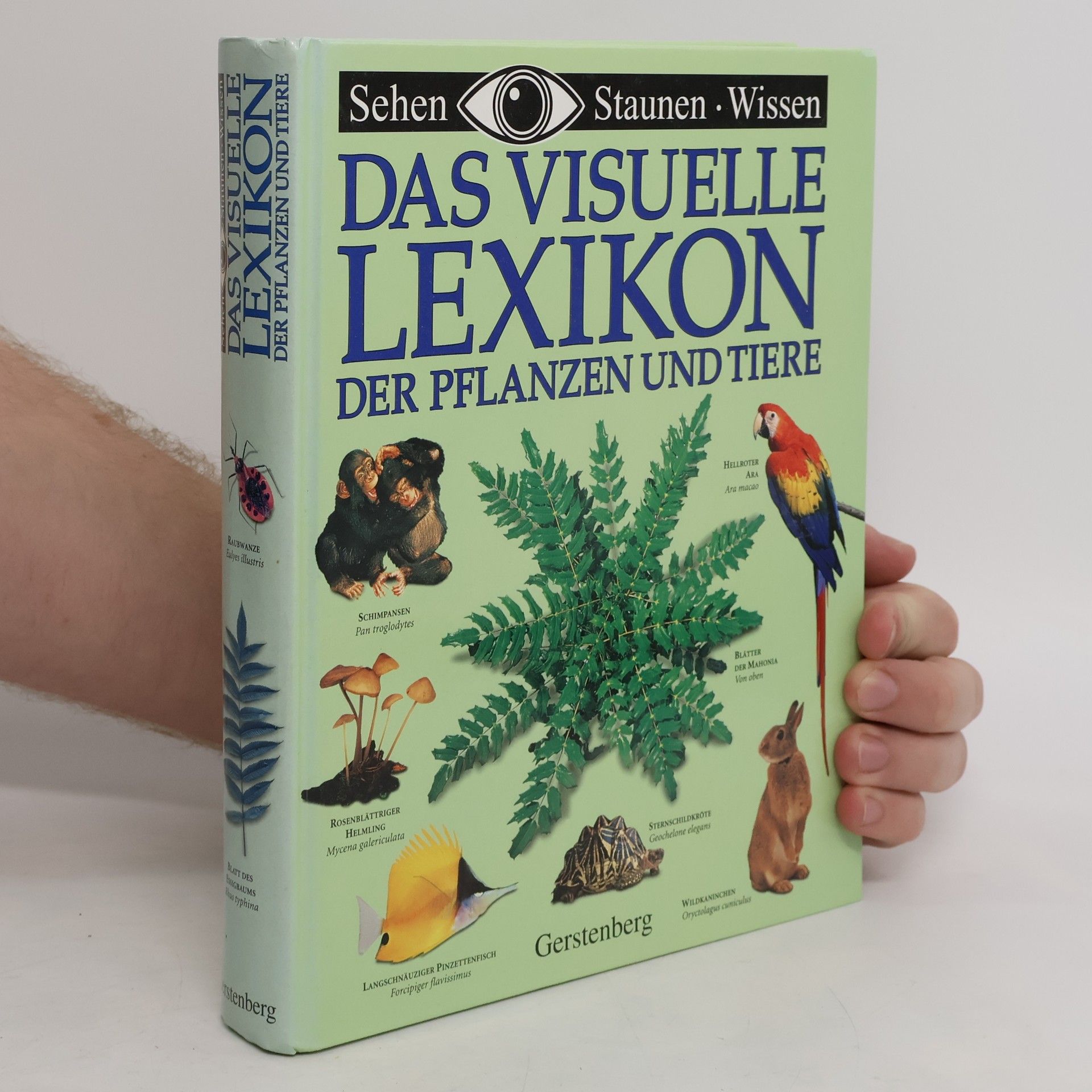 David Burnie Das visuelle Lexikon der Pflanzen und Tiere