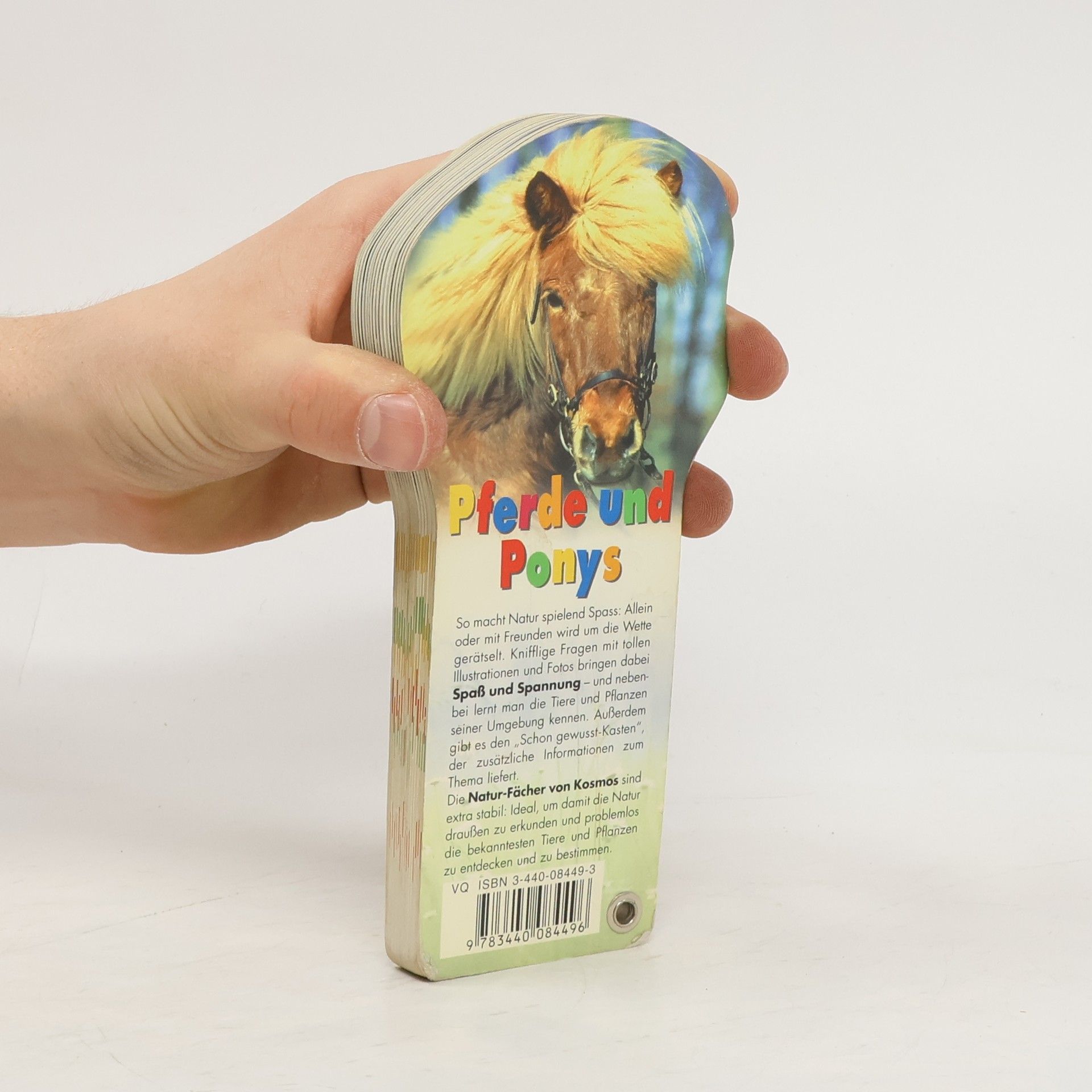 Pferde und Ponys