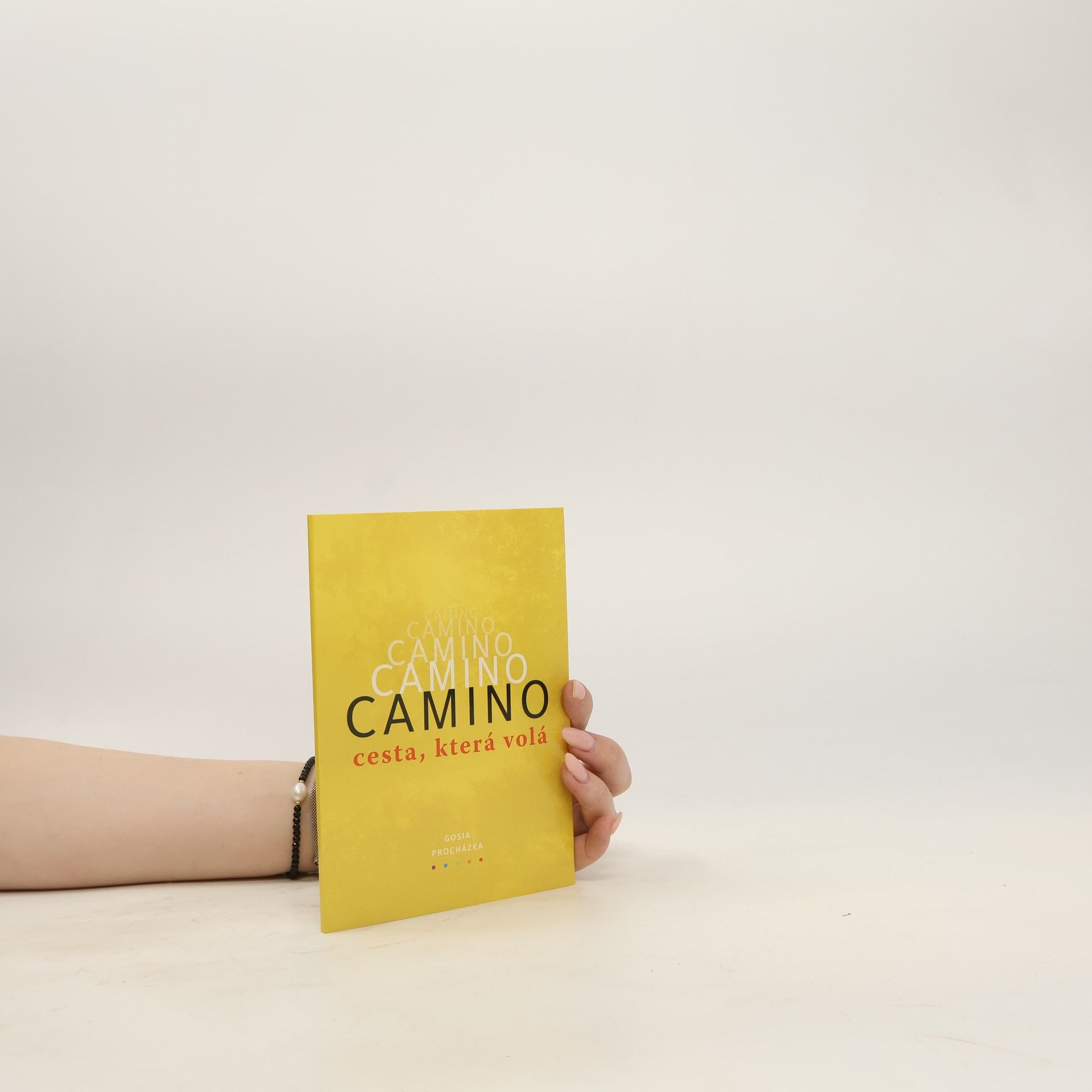 Autorenkollektiv Camino. Cesta, která volá